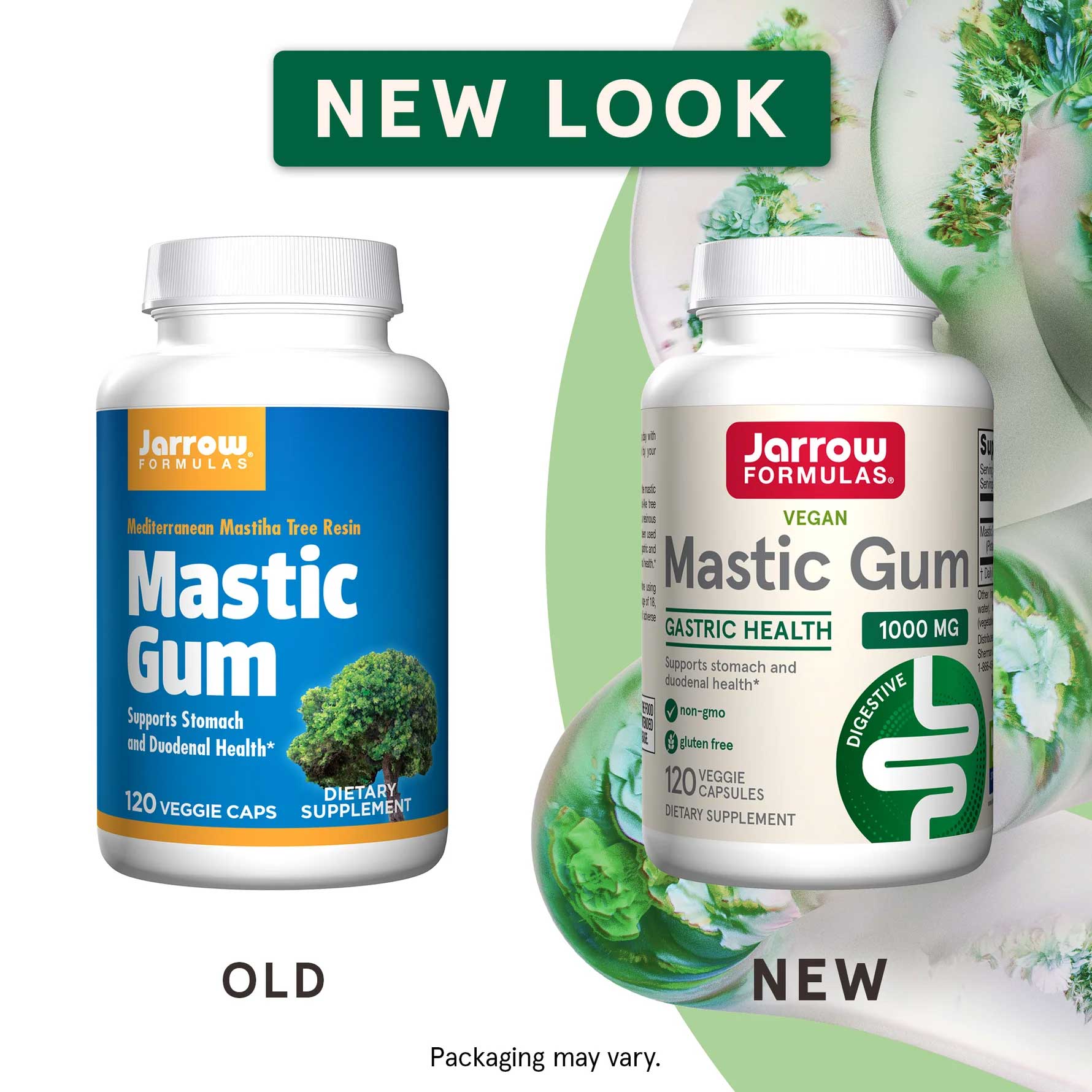 Mastic Gum - Digestive Support - 1,000 MG (60 Vegetarian Capsules