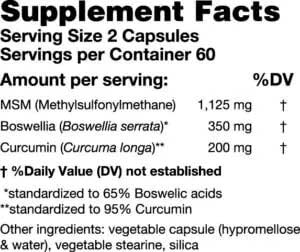 Karuna Health MSM Plus Ingredients
