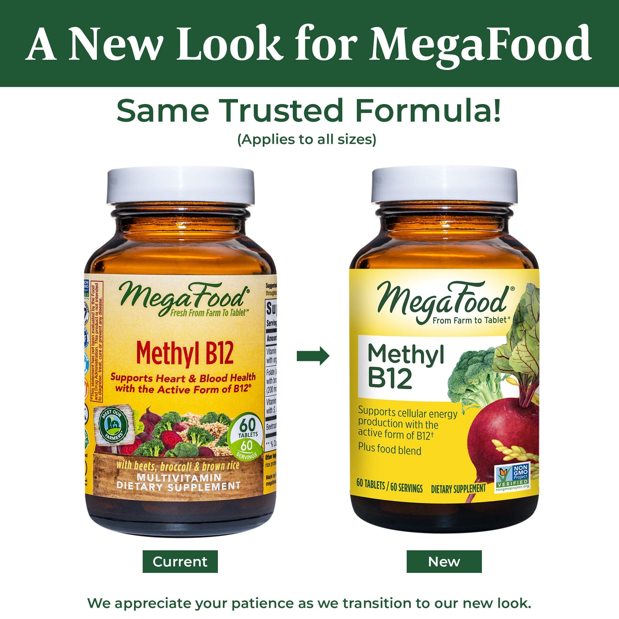 MegaFood Methyl B12  
