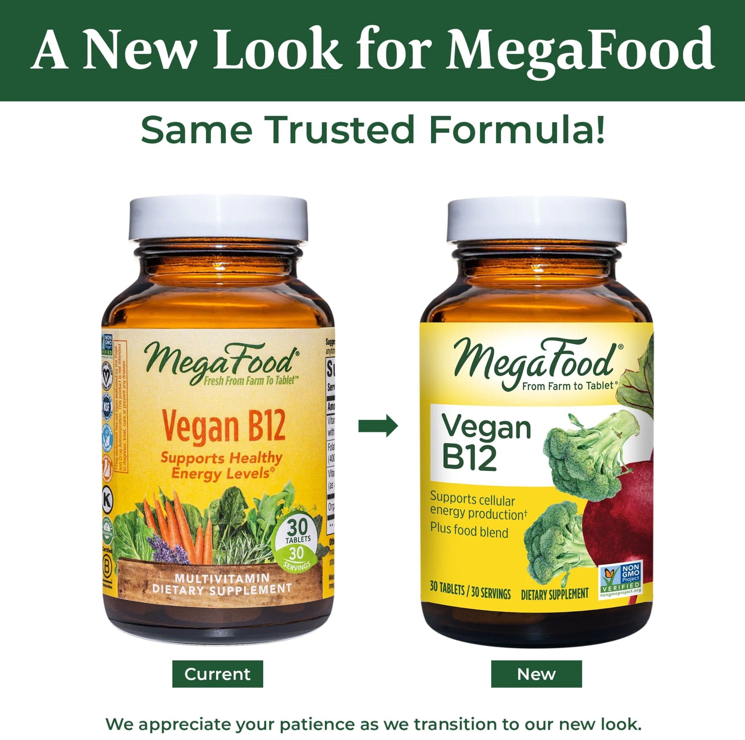 MegaFood Vegan B12