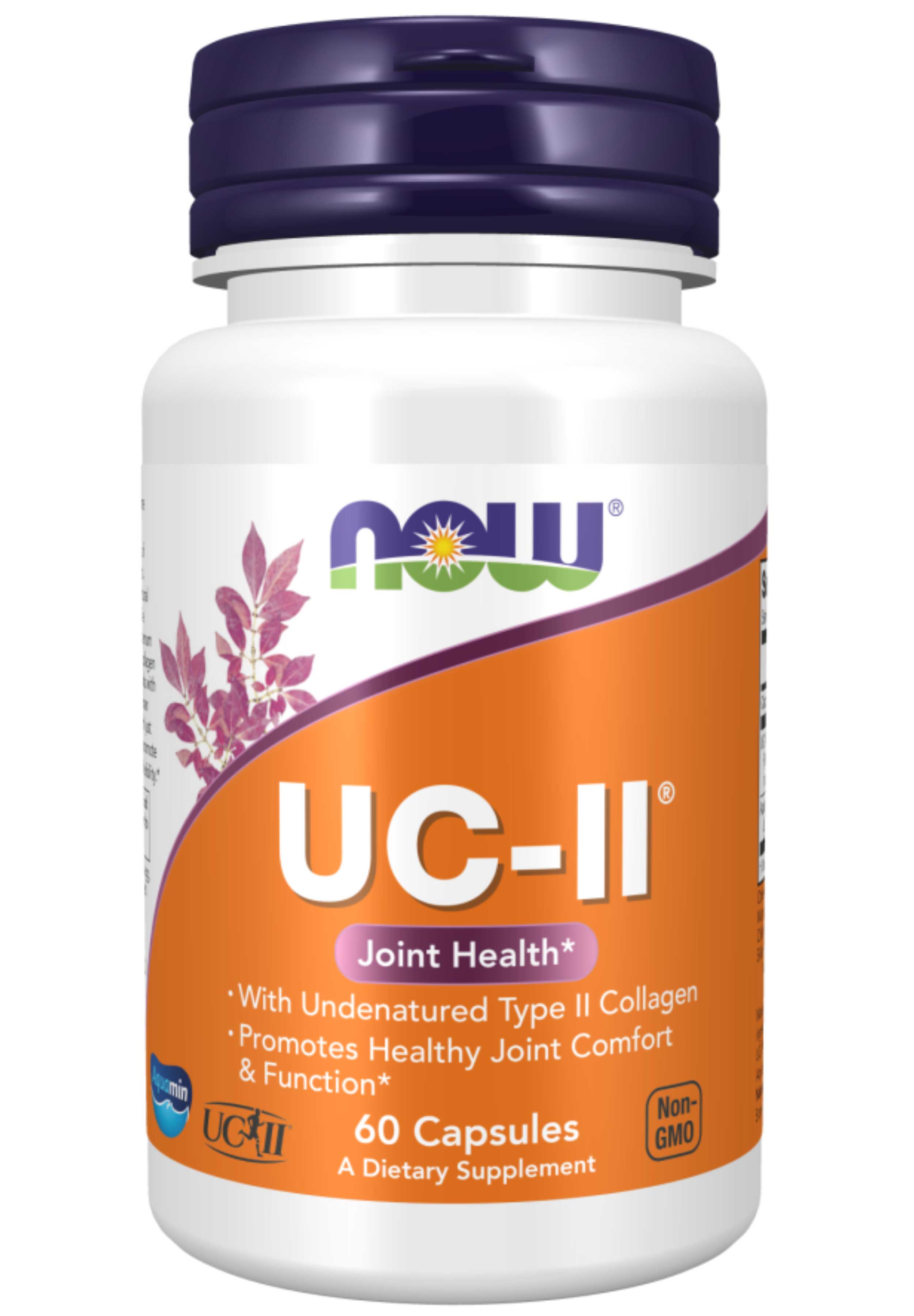 NOW UC-II Type II Collagen