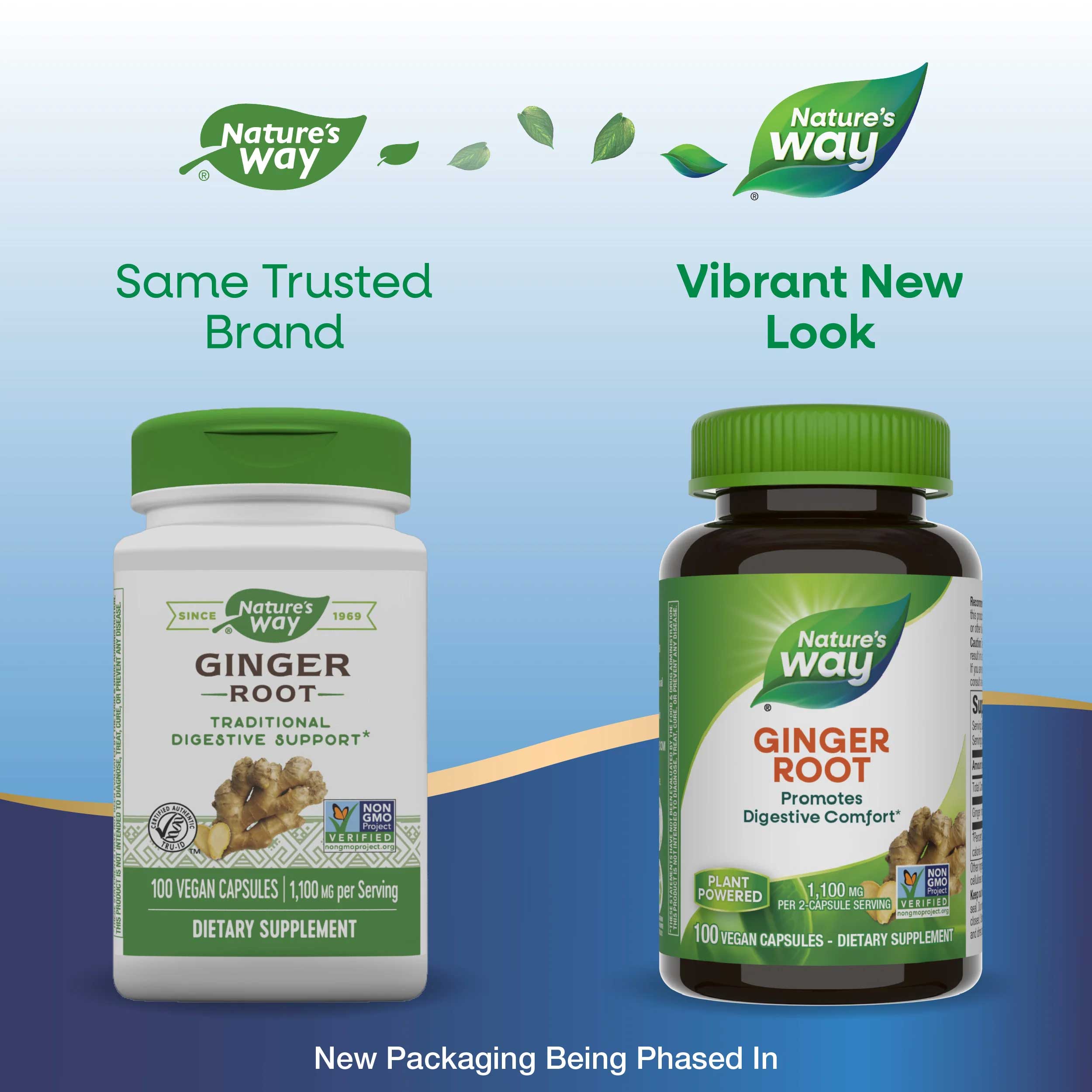 Nature's Way Ginger Root New Look