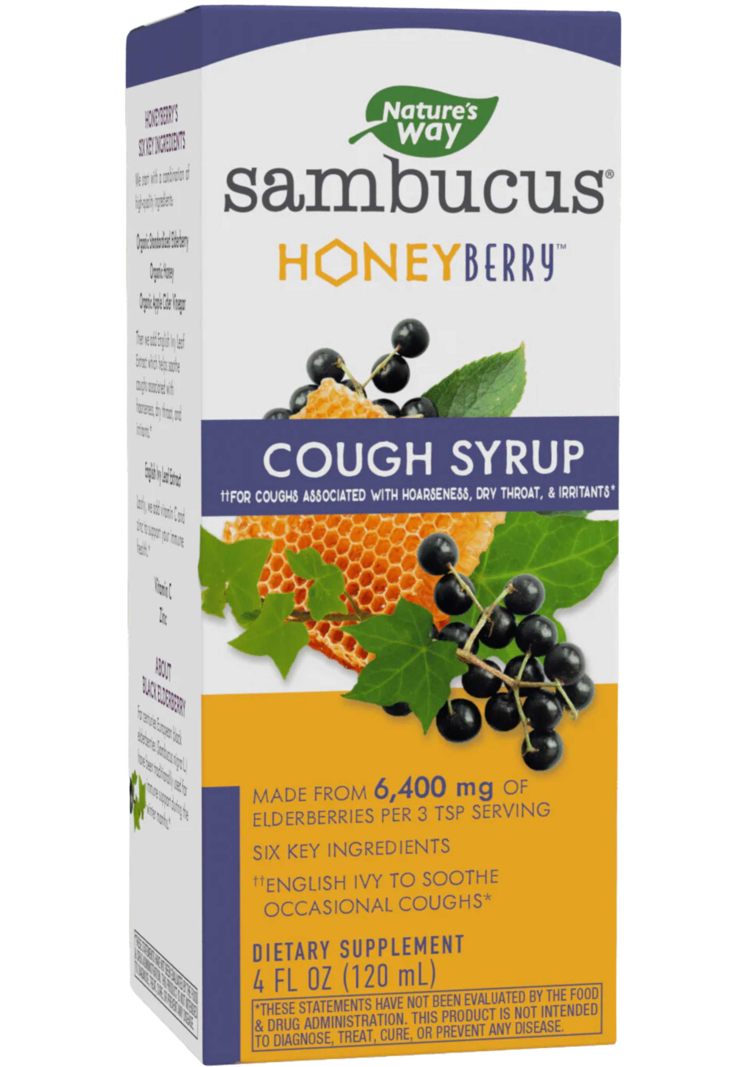 Nature's Way Sambucus HoneyBerry Cough Syrup