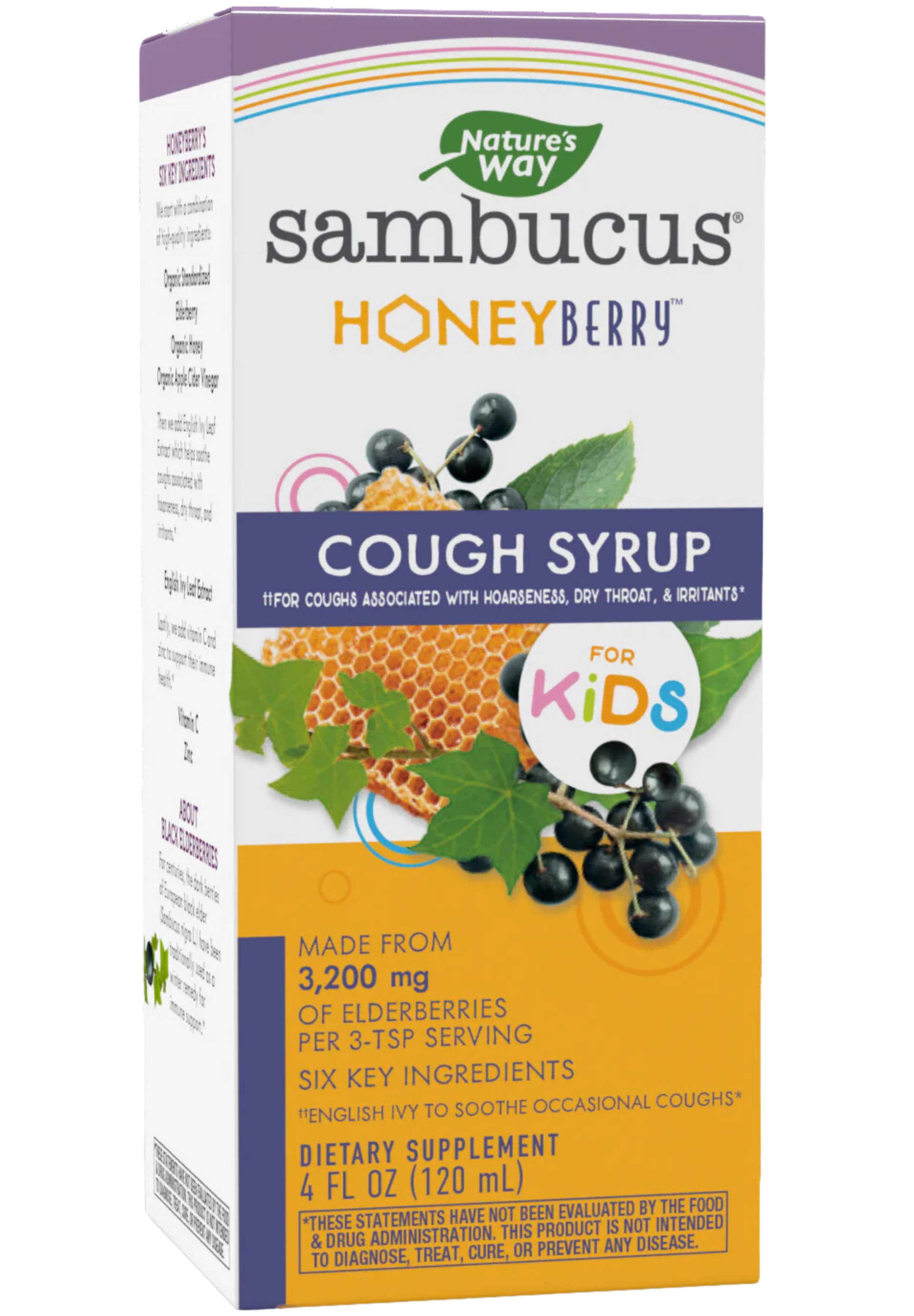 Nature's Way Sambucus HoneyBerry Cough Syrup for Kids