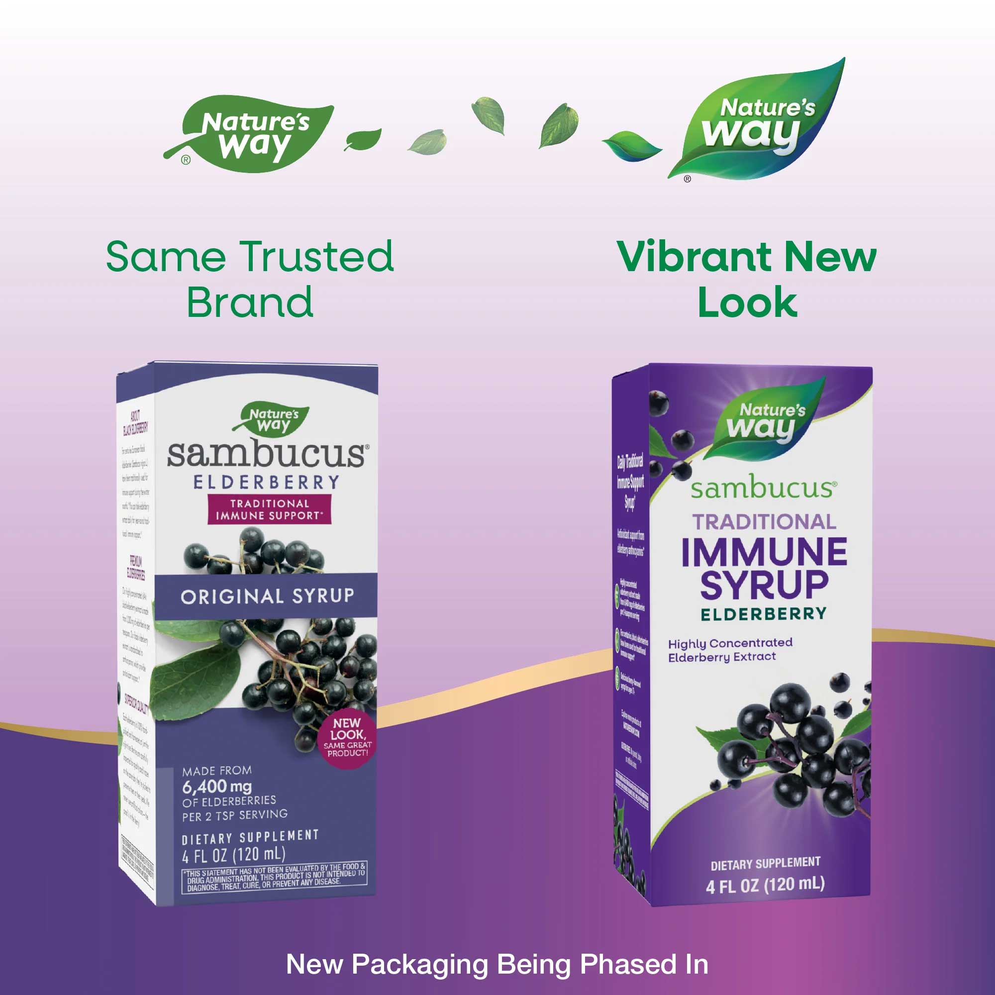 Nature's Way Sambucus Traditional Immune Syrup (Formerly Original Syrup) New Look