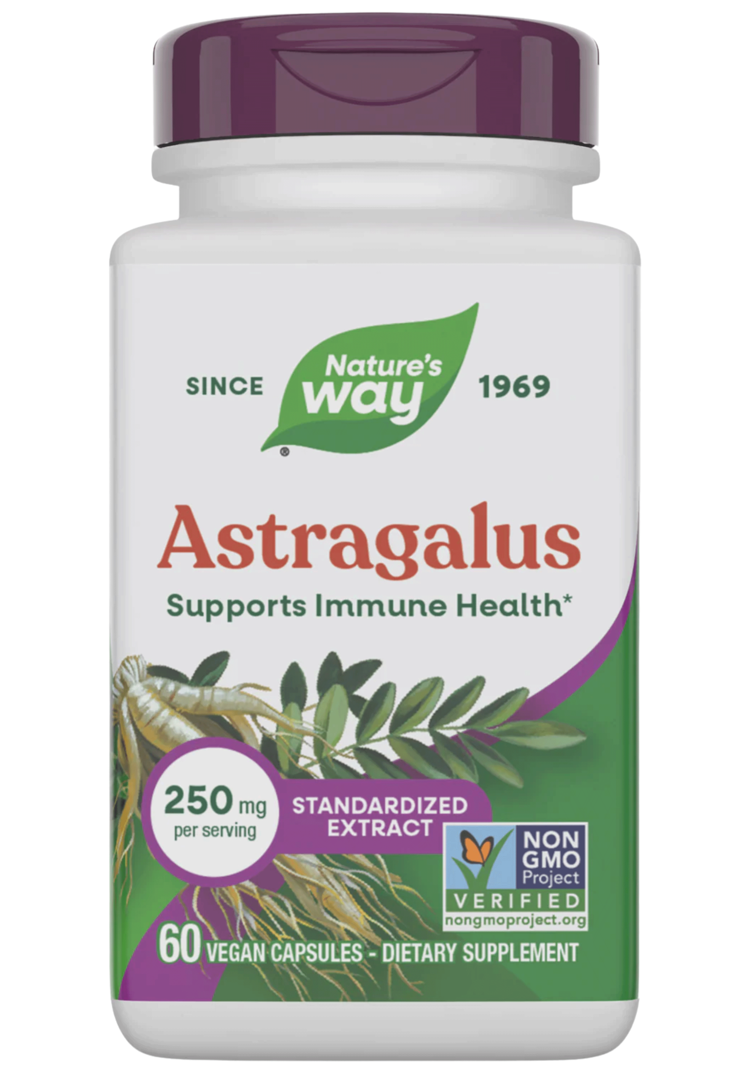 Nature's Way Astragalus