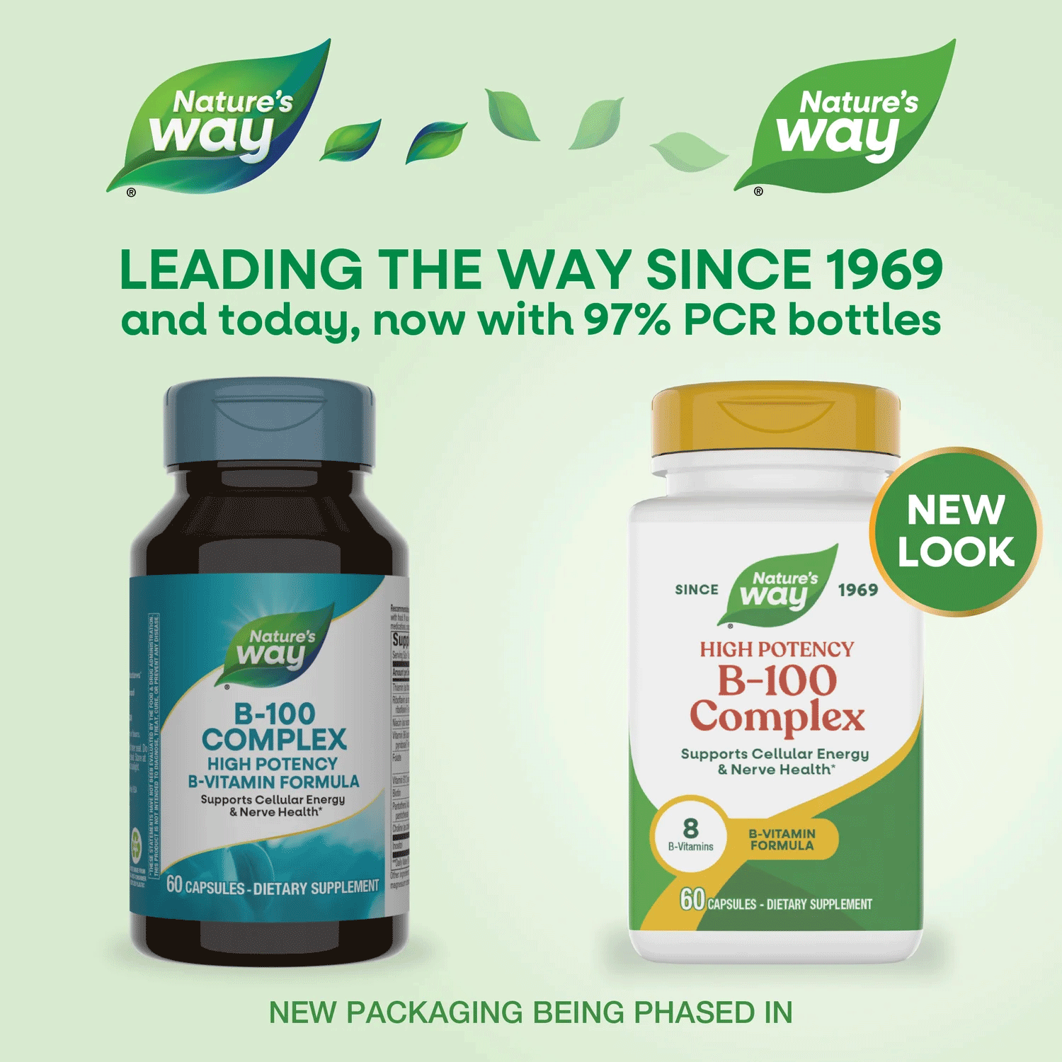 Nature's Way B-100 Complex New Look