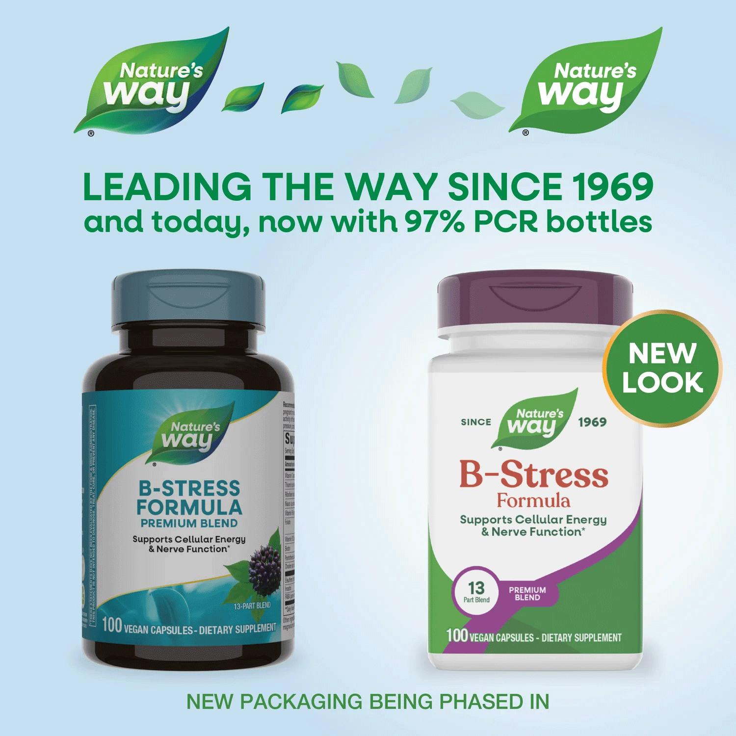 Nature's Way B-Stress Formula New Look