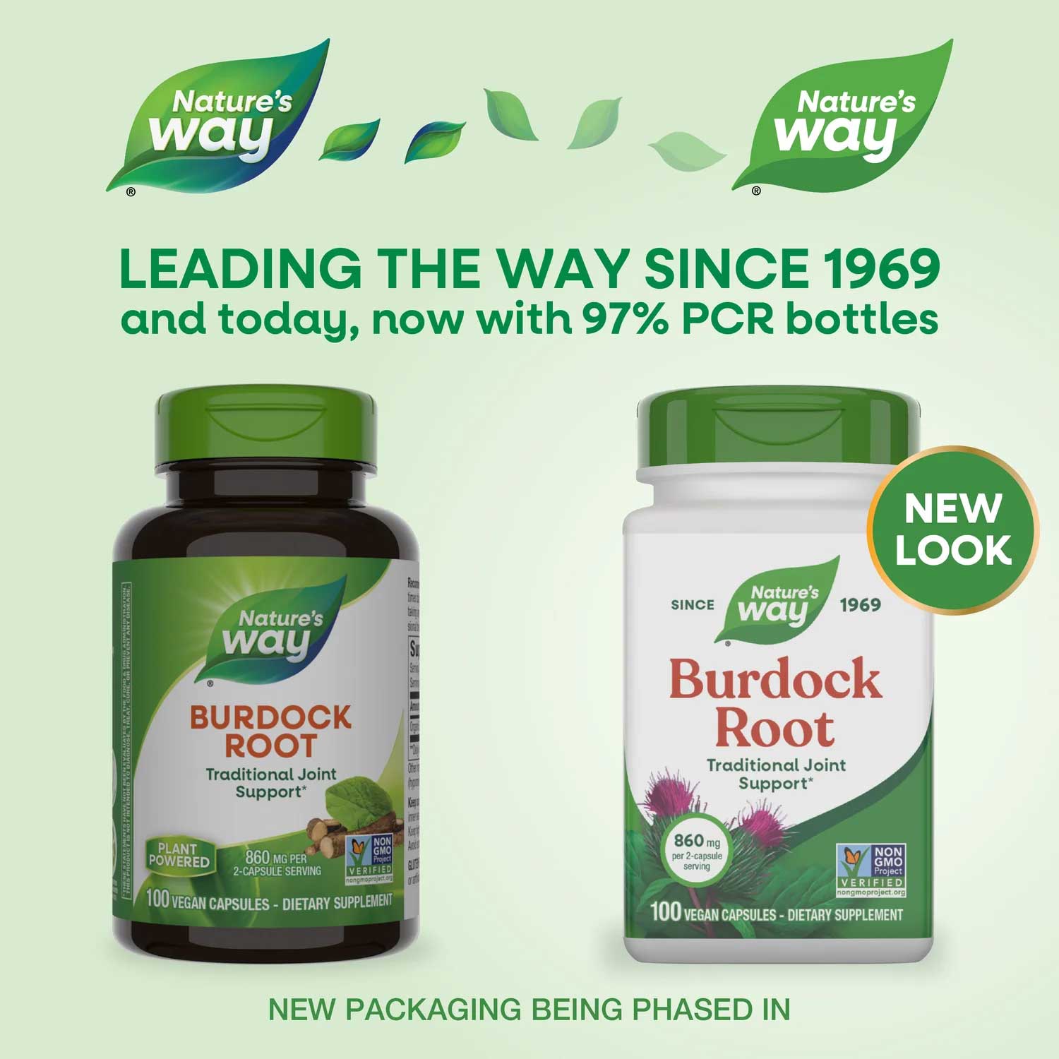 Nature's Way Burdock Root New Look
