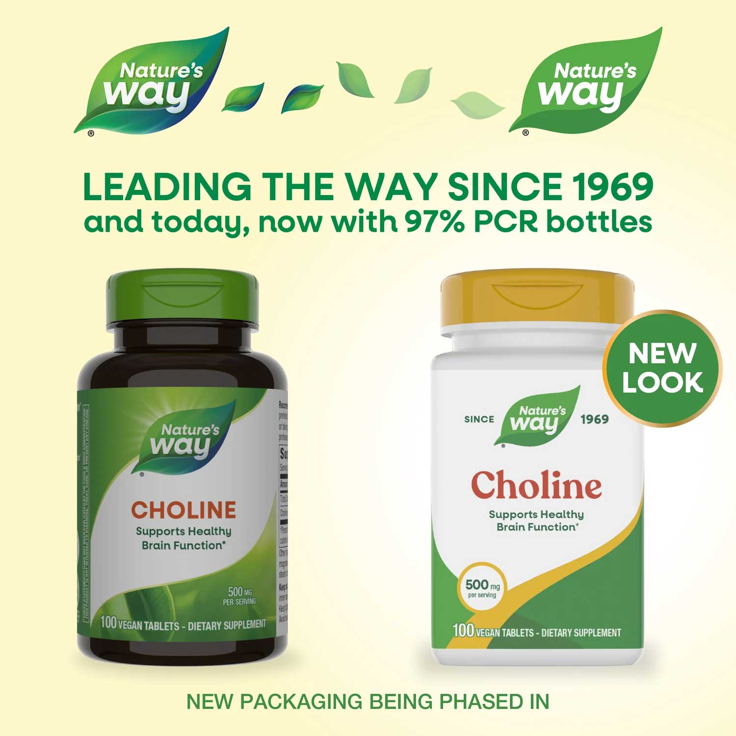Nature's Way Choline New Look