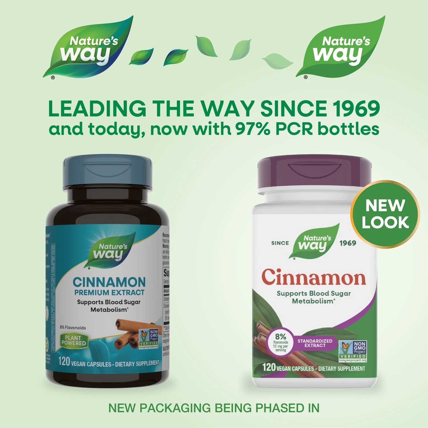 Nature's Way Cinnamon Standardized Extract New Look