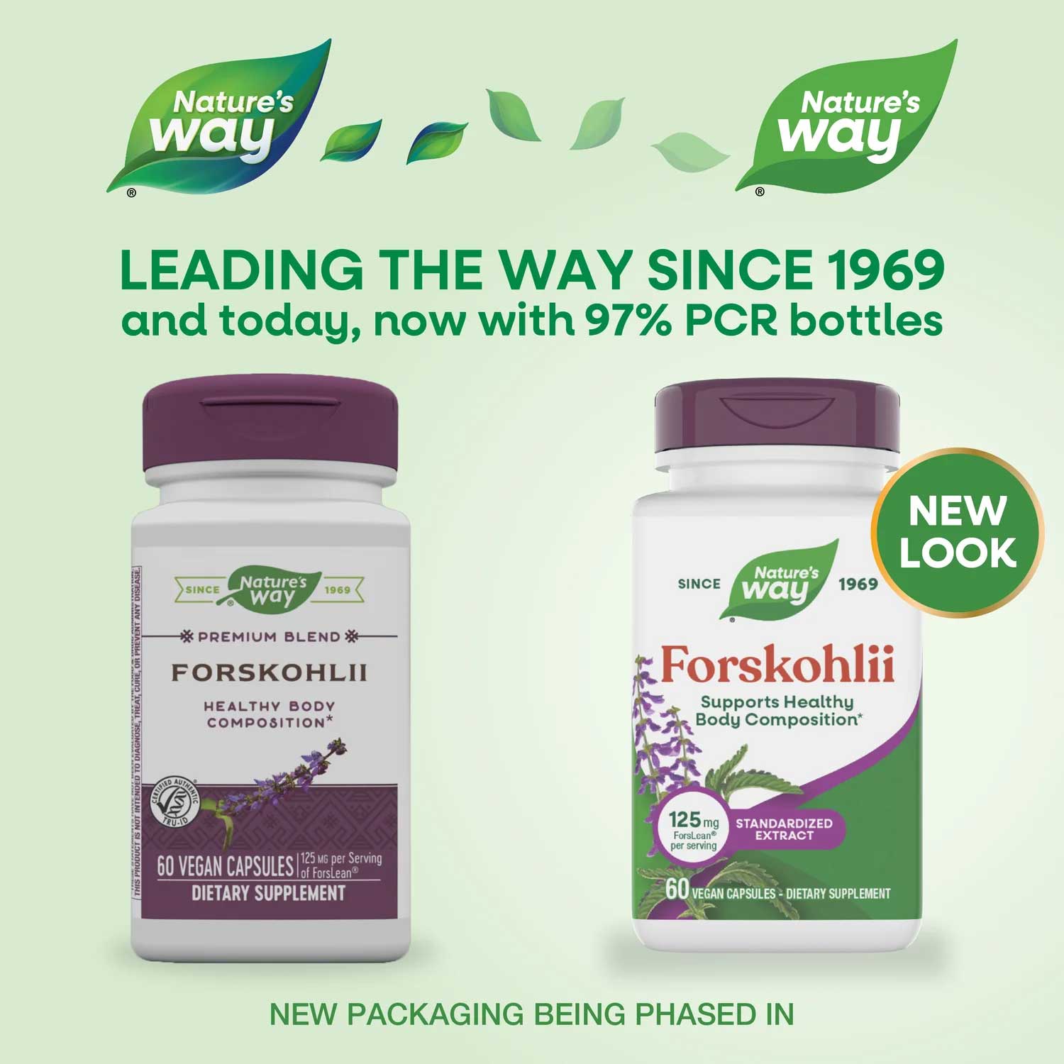 Nature's Way Forskohlii Standardized Extract New Look