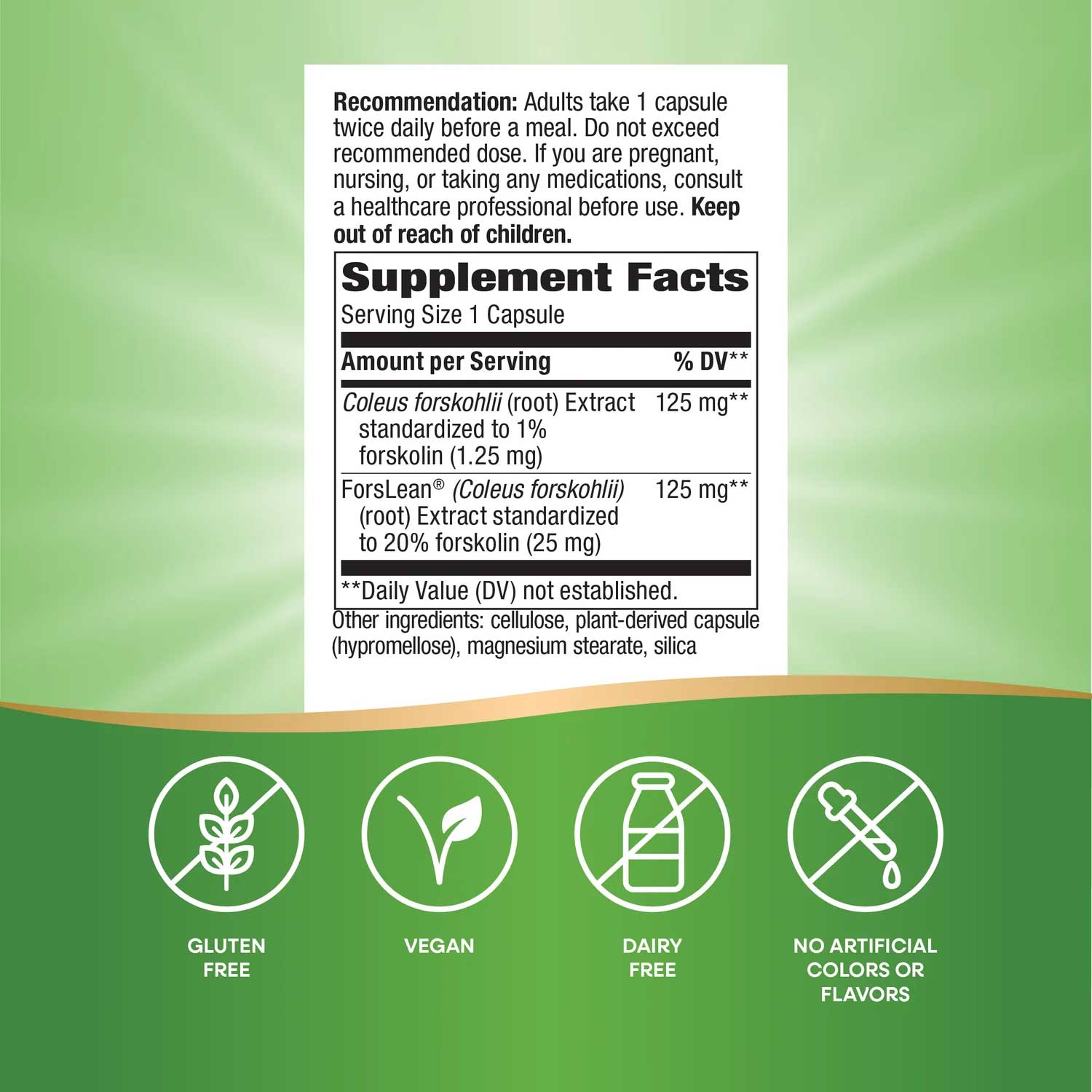 Nature's Way Forskohlii Standardized Extract Ingredients