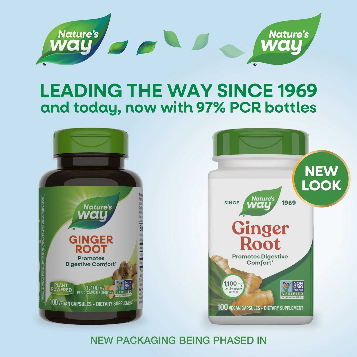 Nature's Way Ginger Root New Look