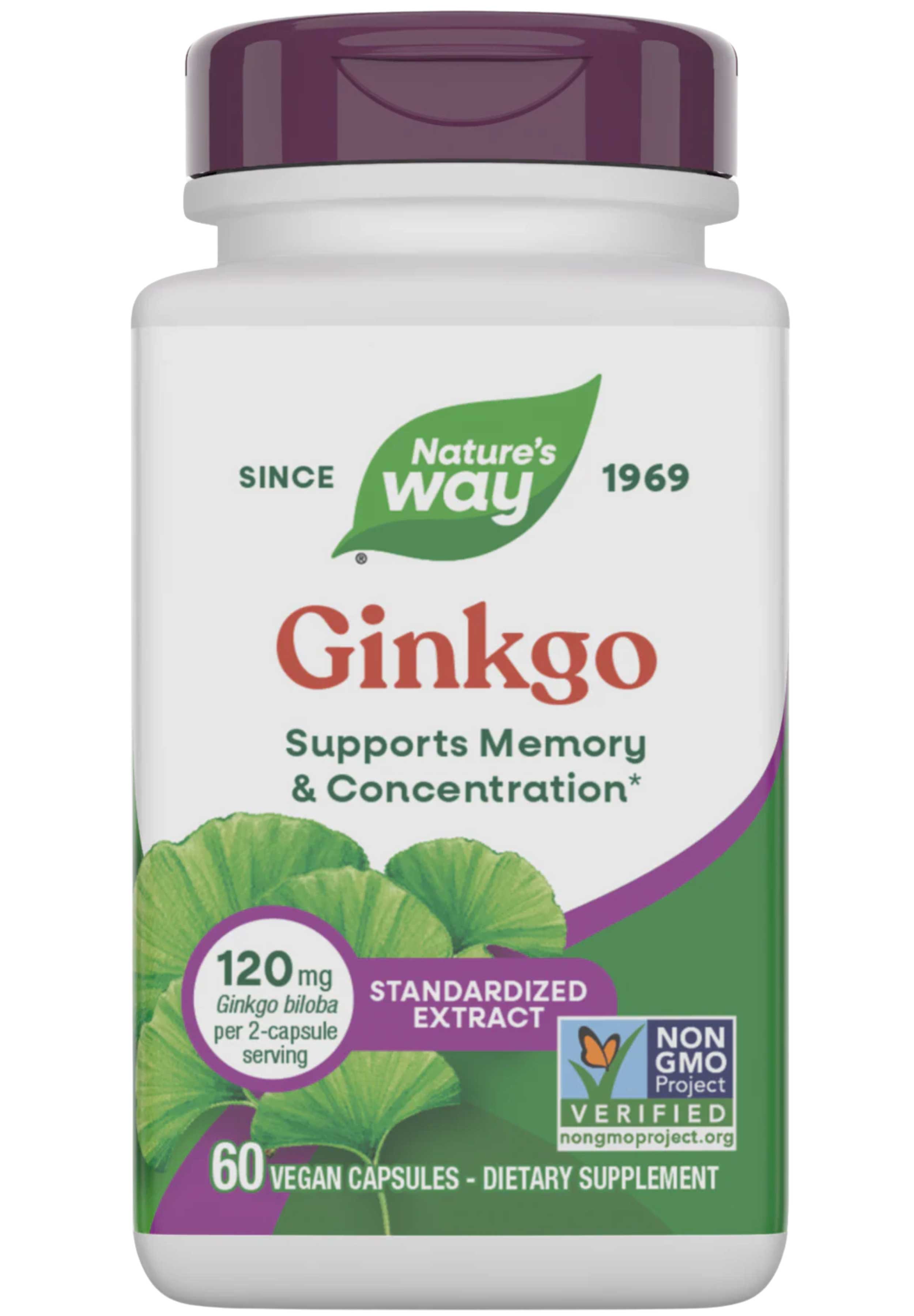 Nature's Way Ginkgo Standardized Extract