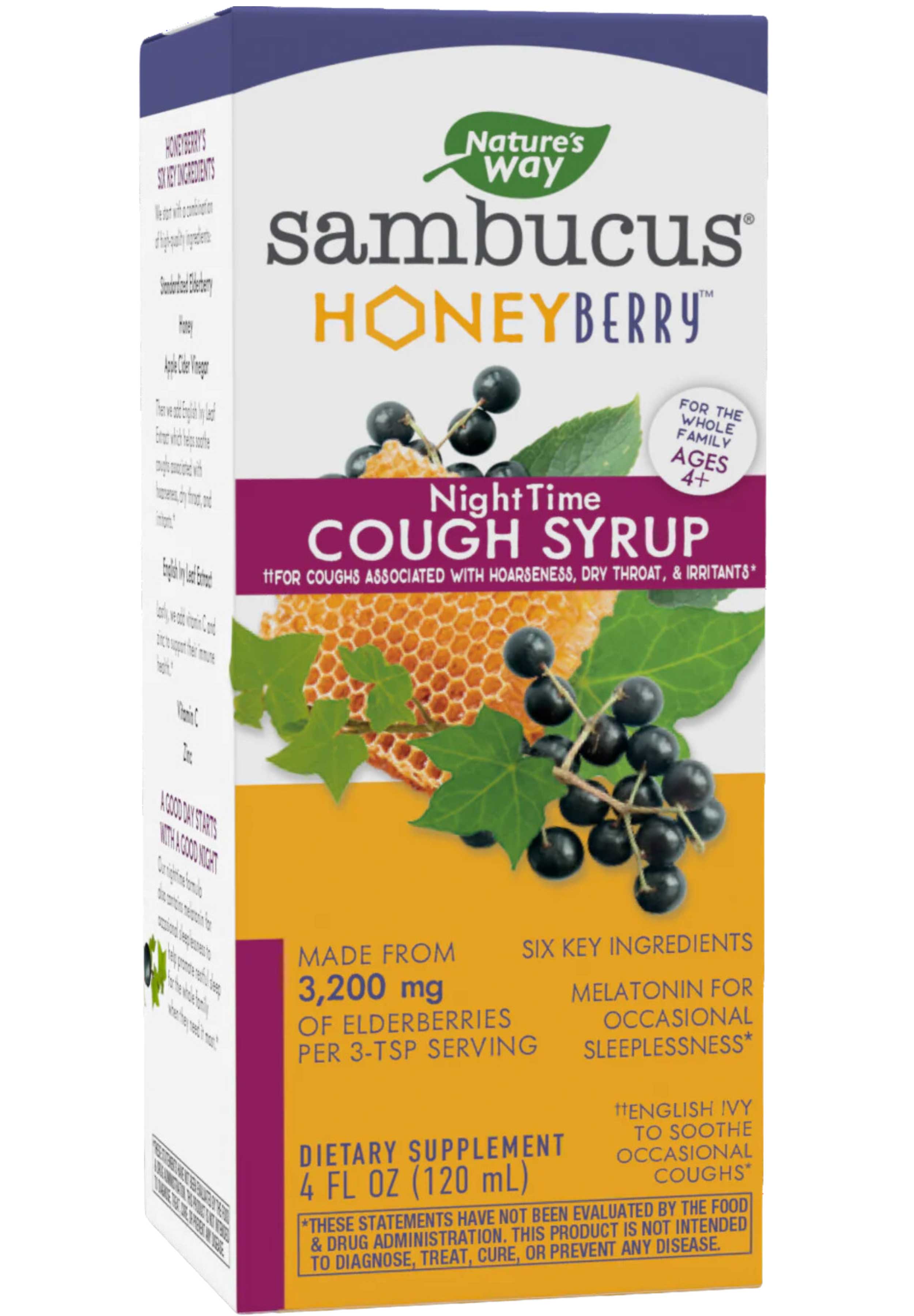 Nature's Way HoneyBerry NightTime Cough Syrup for Kids
