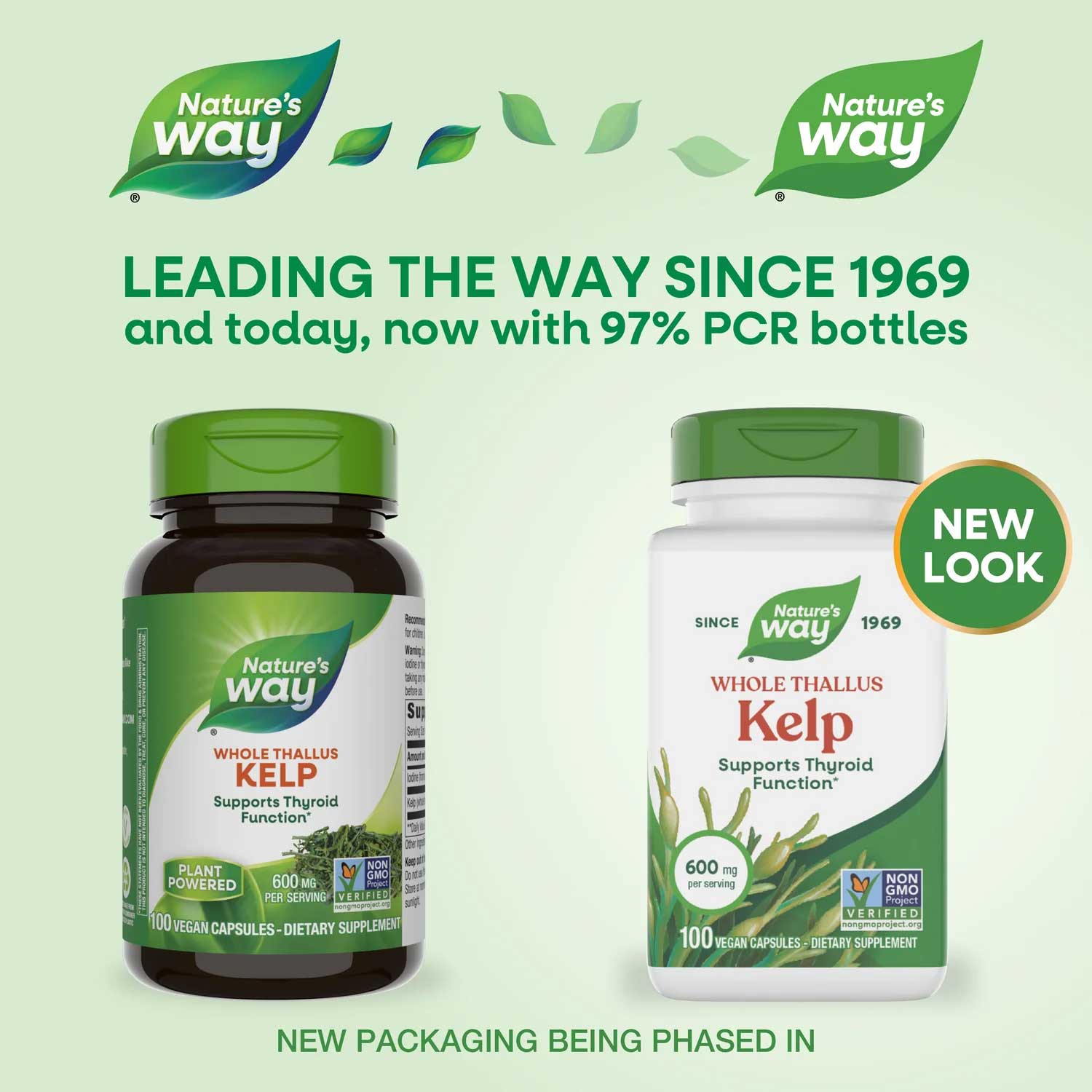 Nature's Way Kelp New Look