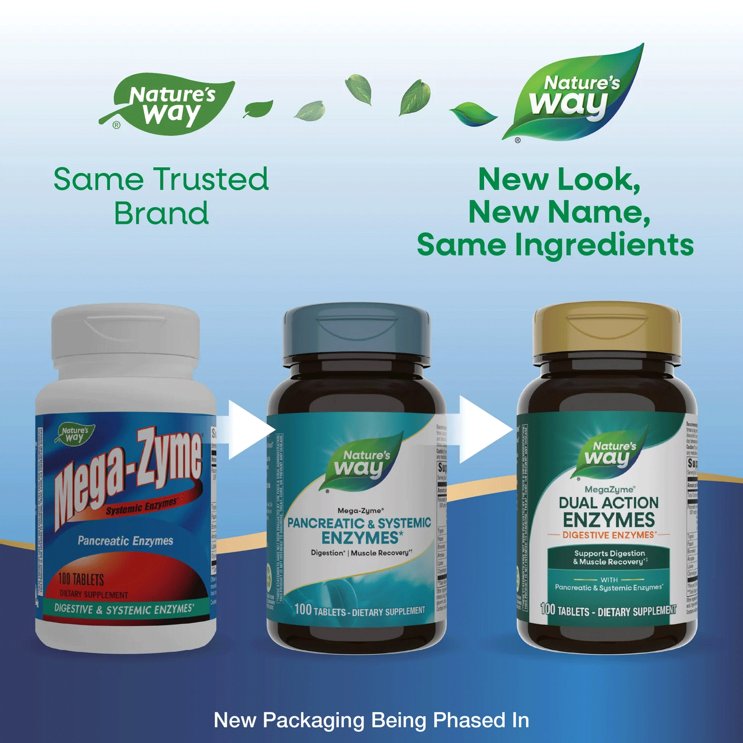 Nature's Way MegaZyme Dual Action Enzymes (Formerly Pancreatic & Systemic) New Look