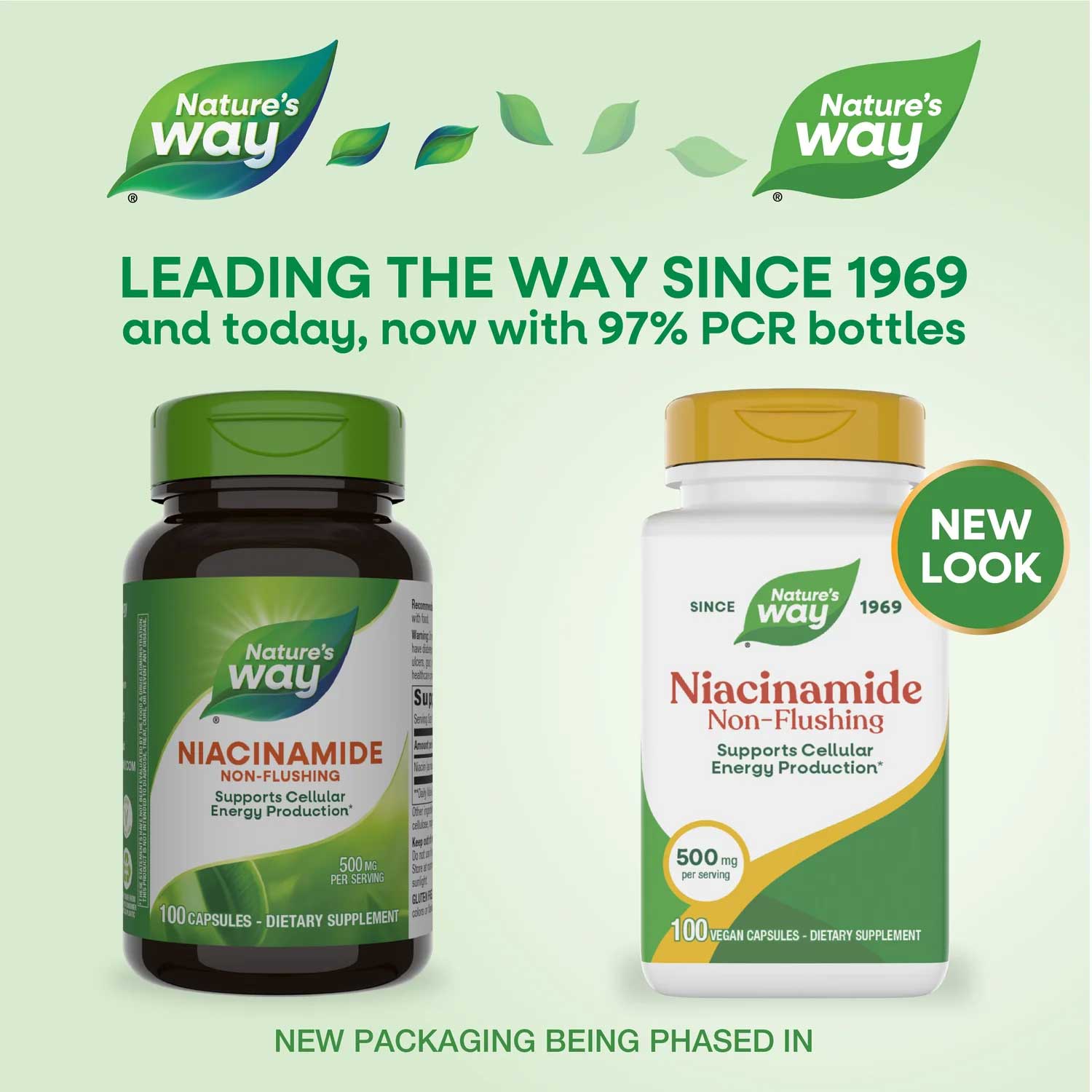 Nature's Way Niacinamide New Look