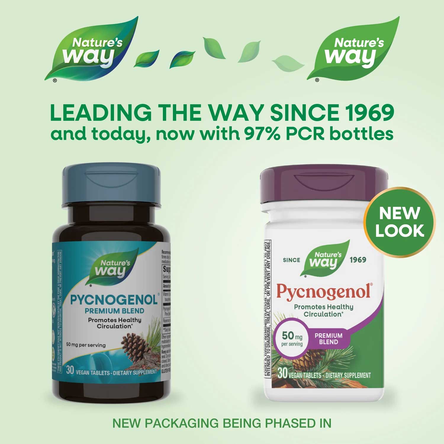 Nature's Way Pycnogenol New Look