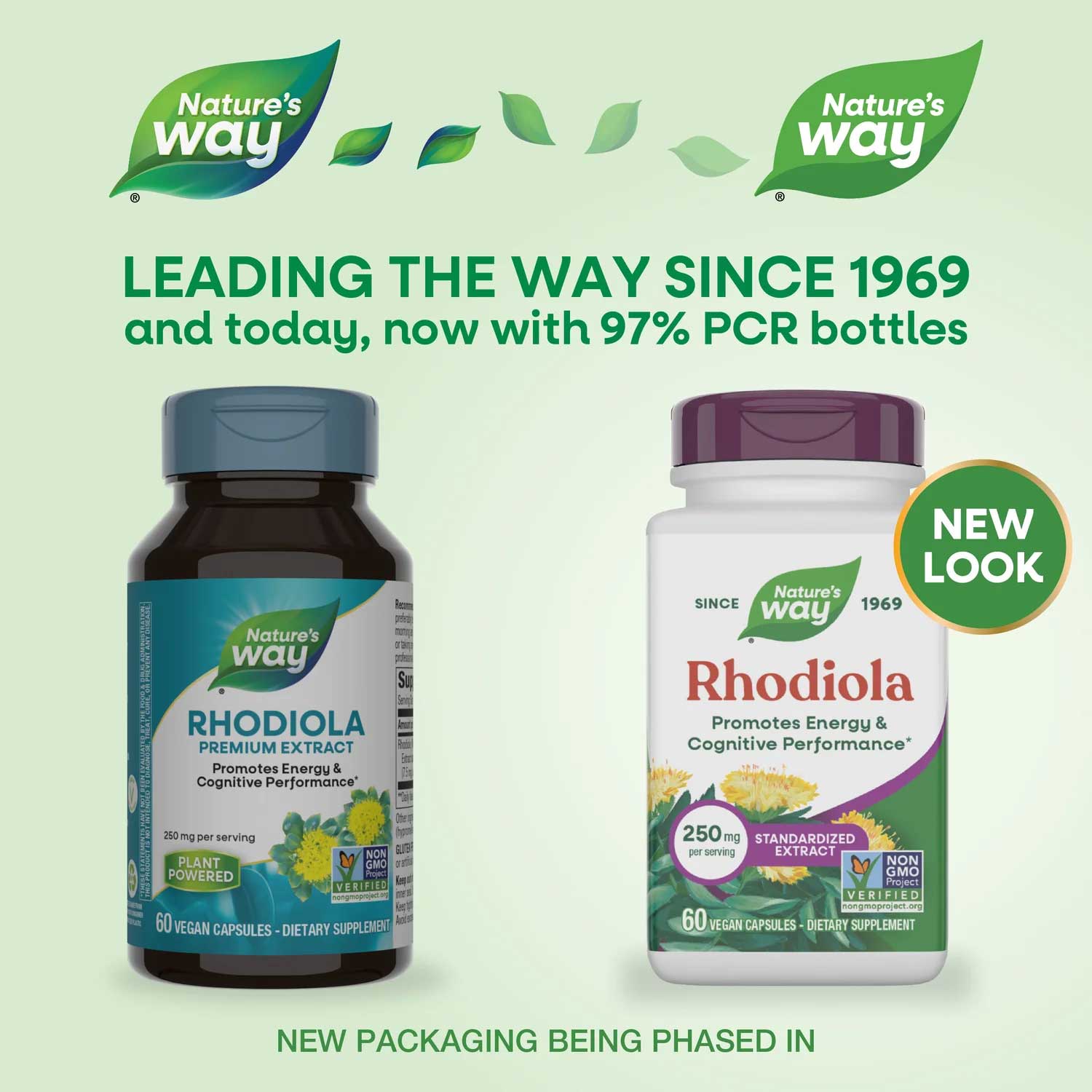 Nature's Way Rhodiola Standardized Extract (Rhodiola Rosea) New Look