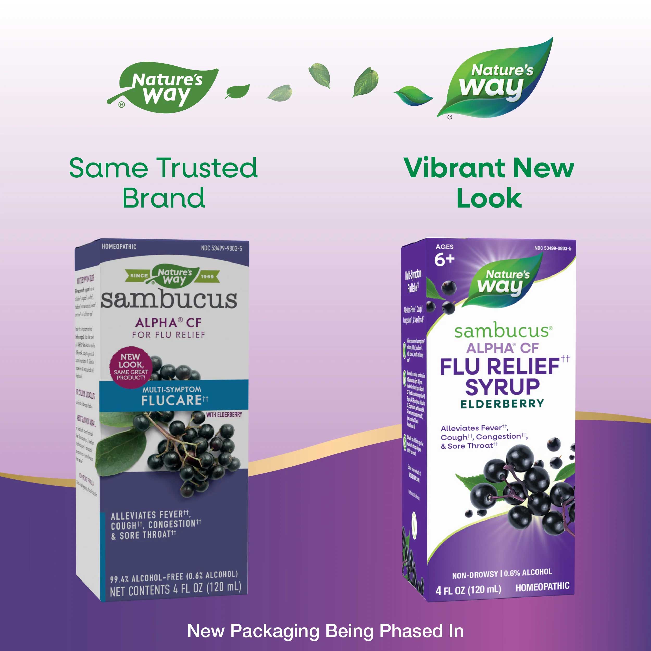 Nature's Way Sambucus Alpha CF Flu Relief Syrup New Look