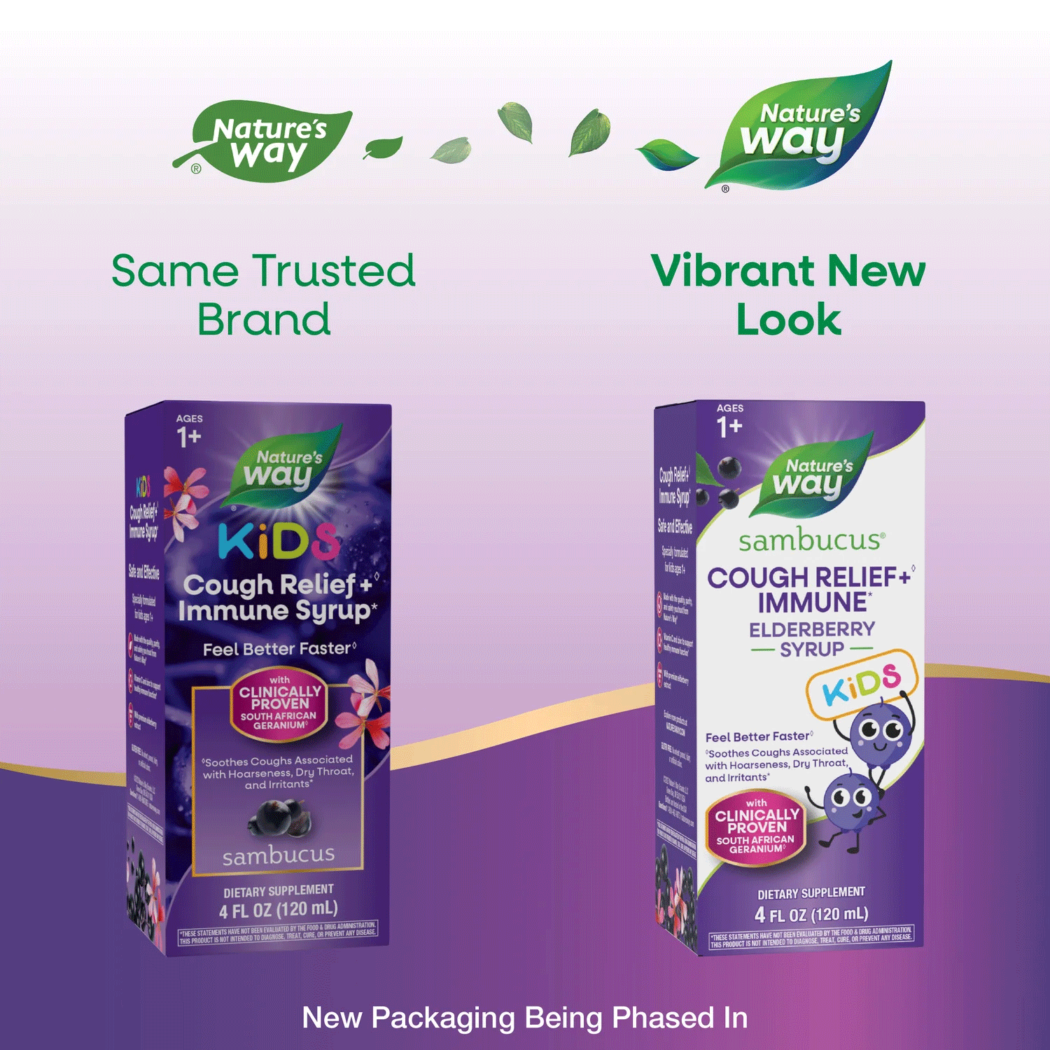 Nature's Way Sambucus Cough Relief + Immune Elderberry Syrup For Kids New Look