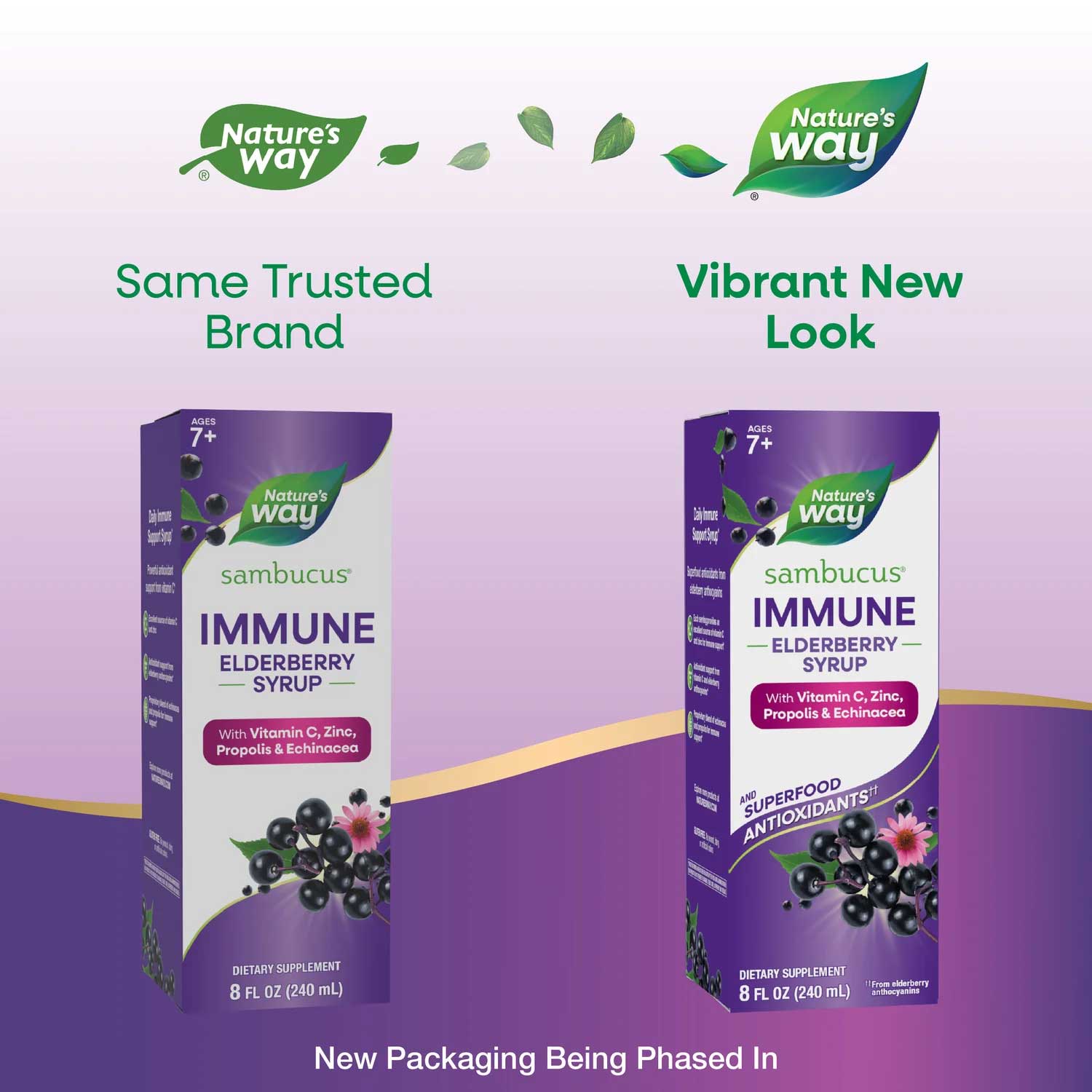 Nature's Way Sambucus Immune Elderberry Syrup New Look