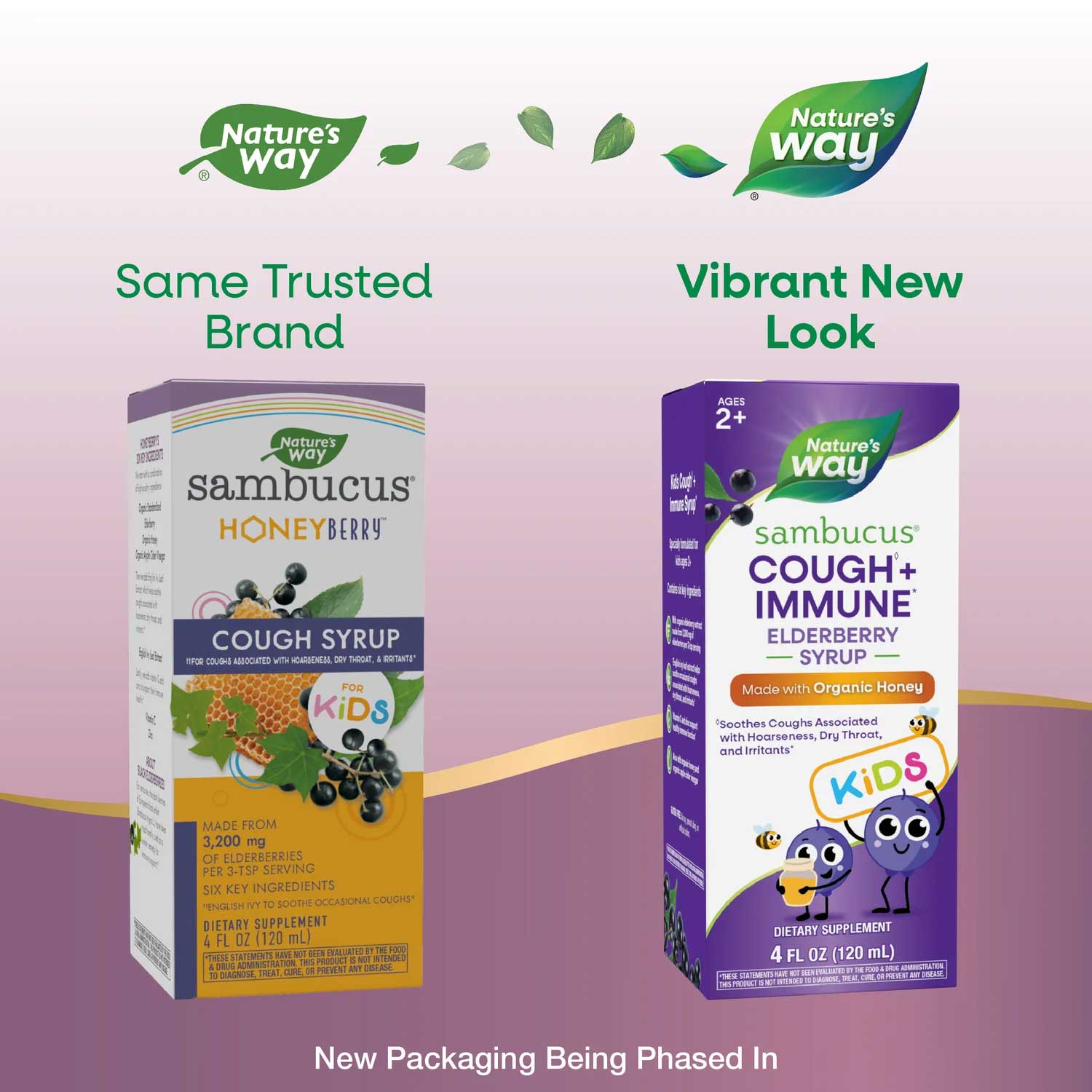 Nature's Way Sambucus Kids Cough + Immune Elderberry Syrup New Look