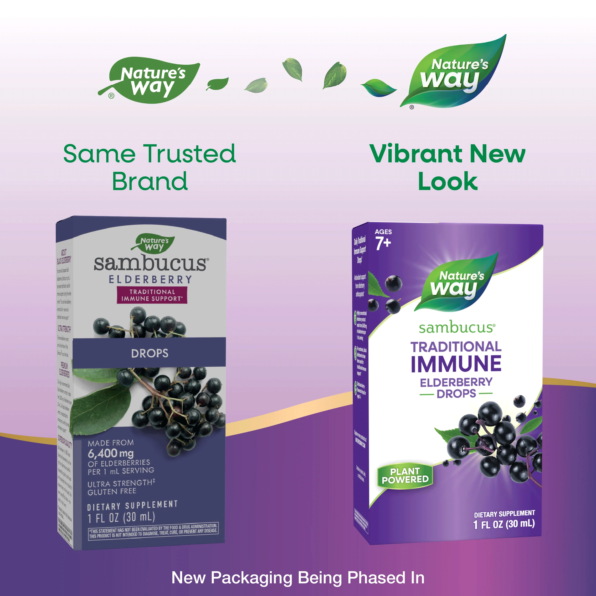 Nature's Way Sambucus Traditional Immune Elderberry Drops New Look