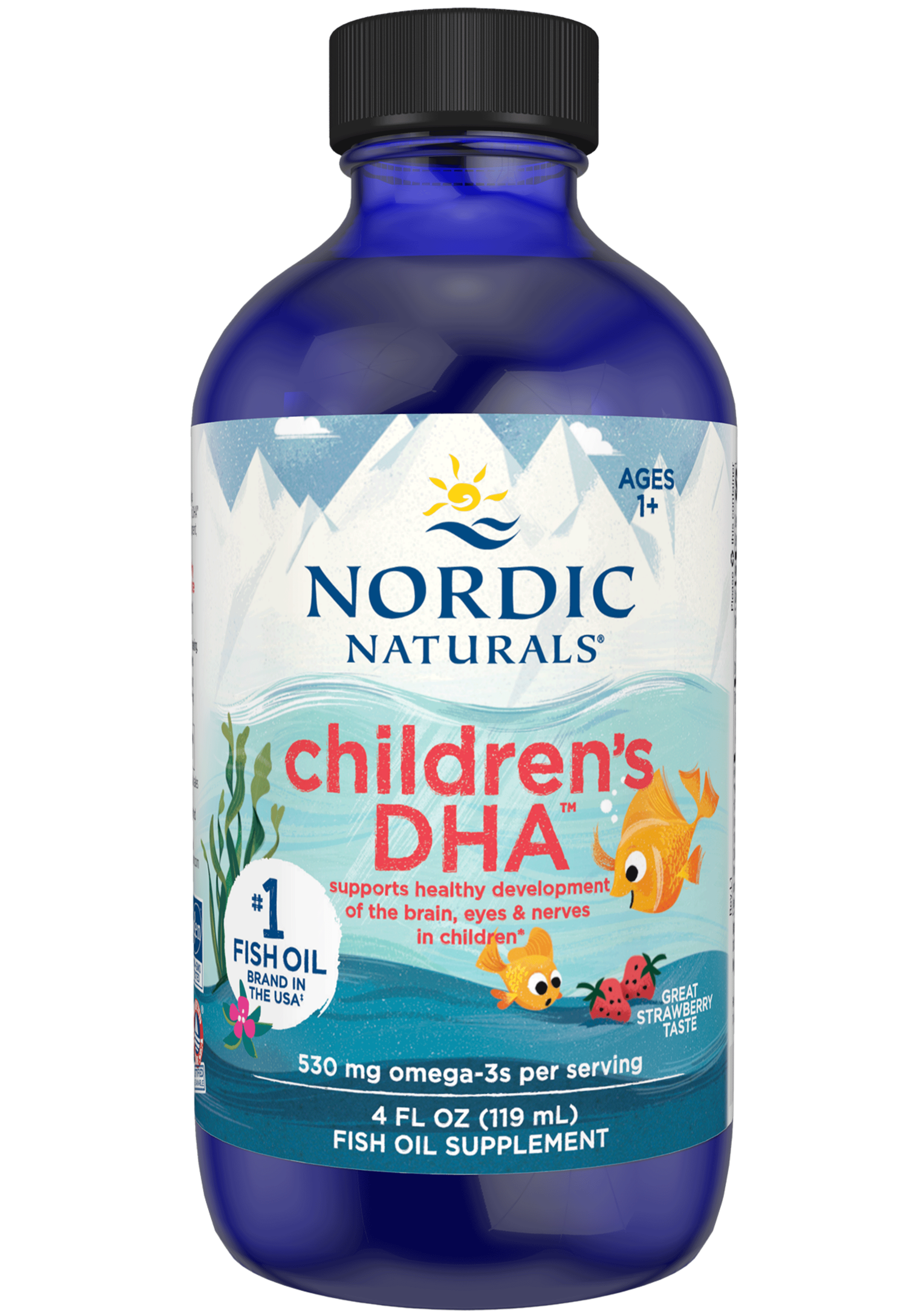 Nordic Naturals Children's DHA Liquid  (Nordic Naturals DHA Junior Liquid)