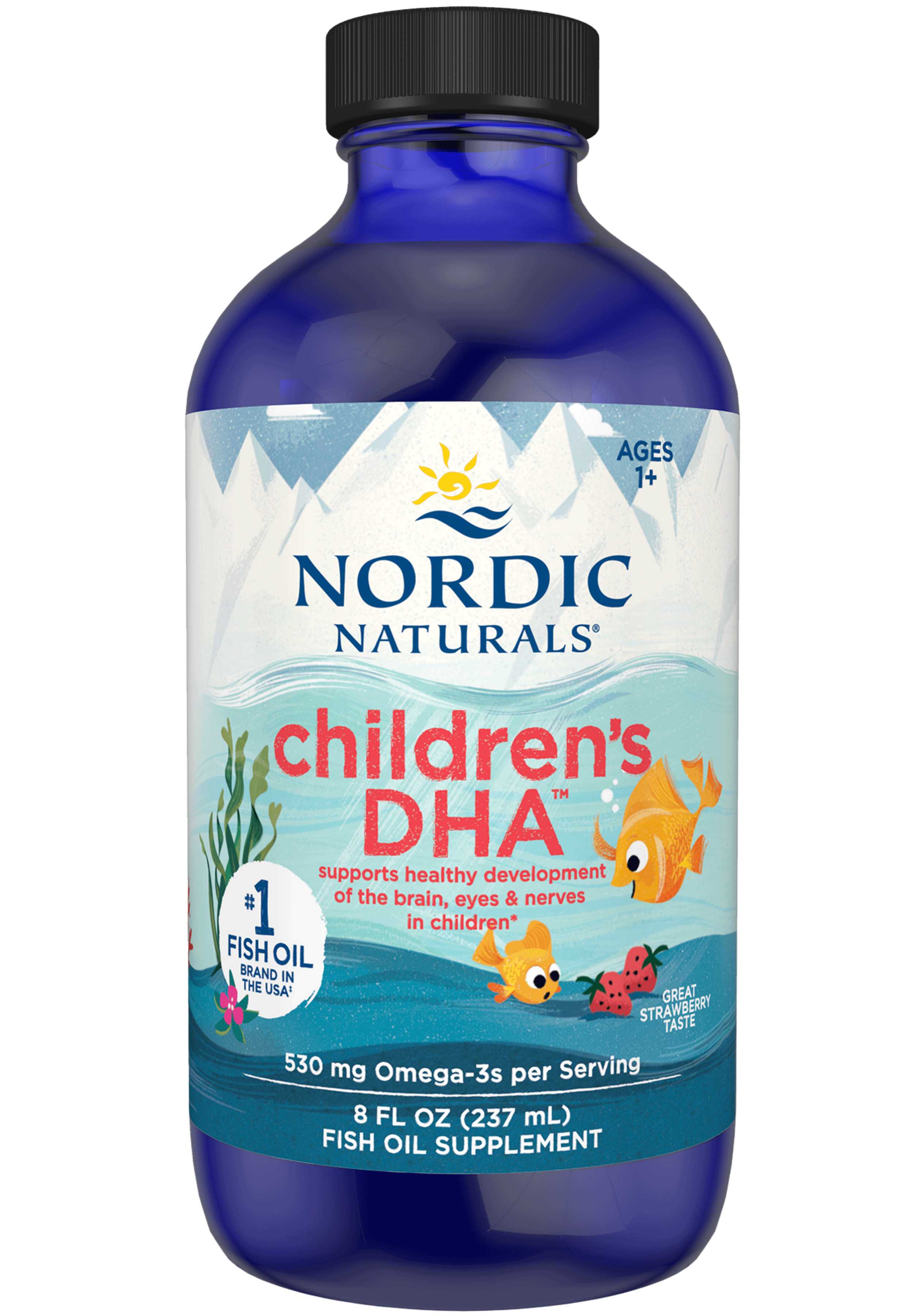 Nordic Naturals Children's DHA Liquid  (Nordic Naturals DHA Junior Liquid)