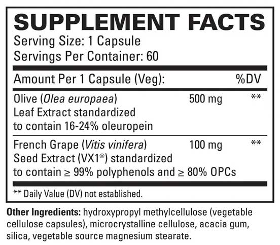 Terry Naturally Blood Pressure Health Ingredients