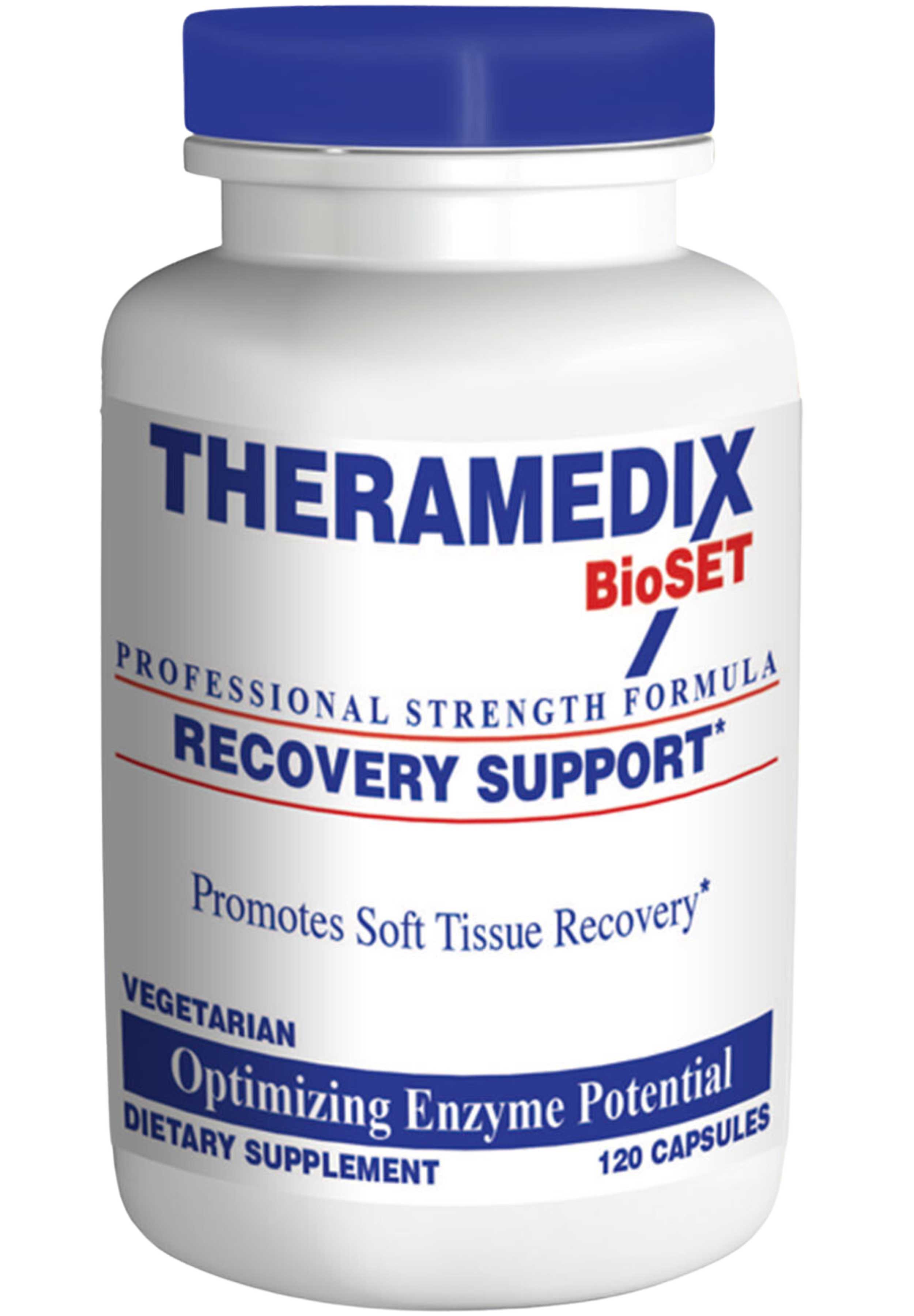 Theramedix Recovery Support