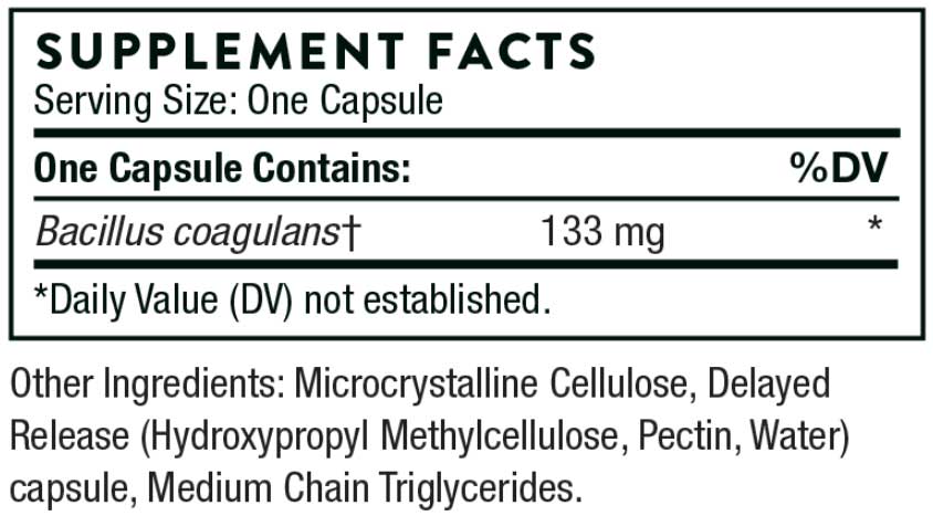 Thorne Research Bacillus Coagulans Ingredients