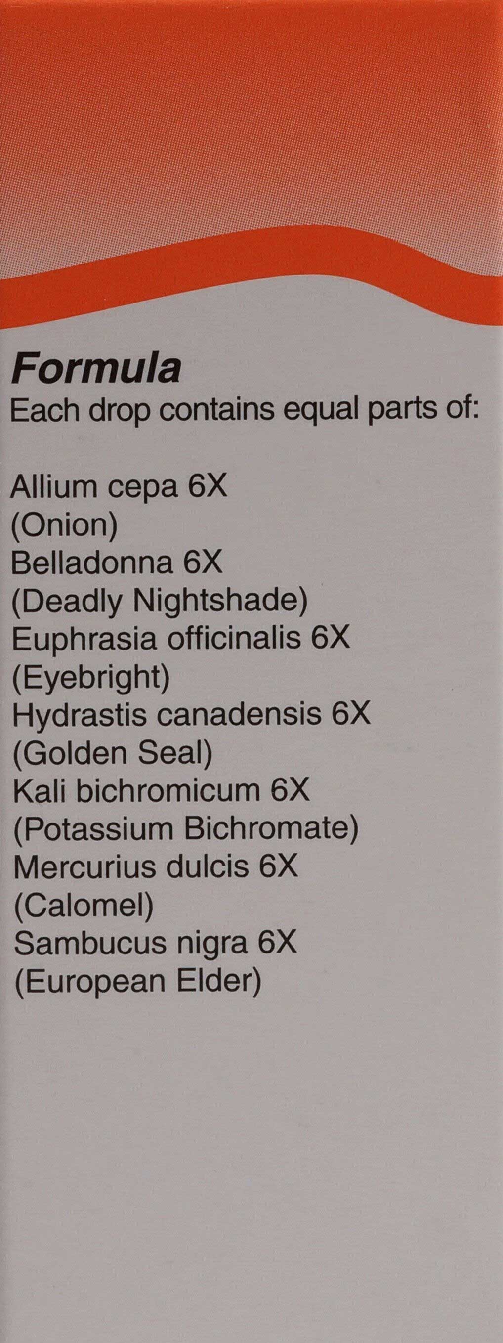 UNDA Allium Cepa Plex Ingredients