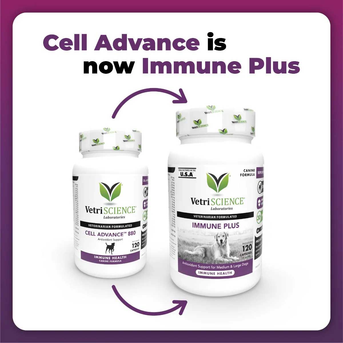 VetriScience Laboratories Immune Plus Immunity Support for Medium & Large Dogs (Formerly Cell Advance 880) New Look