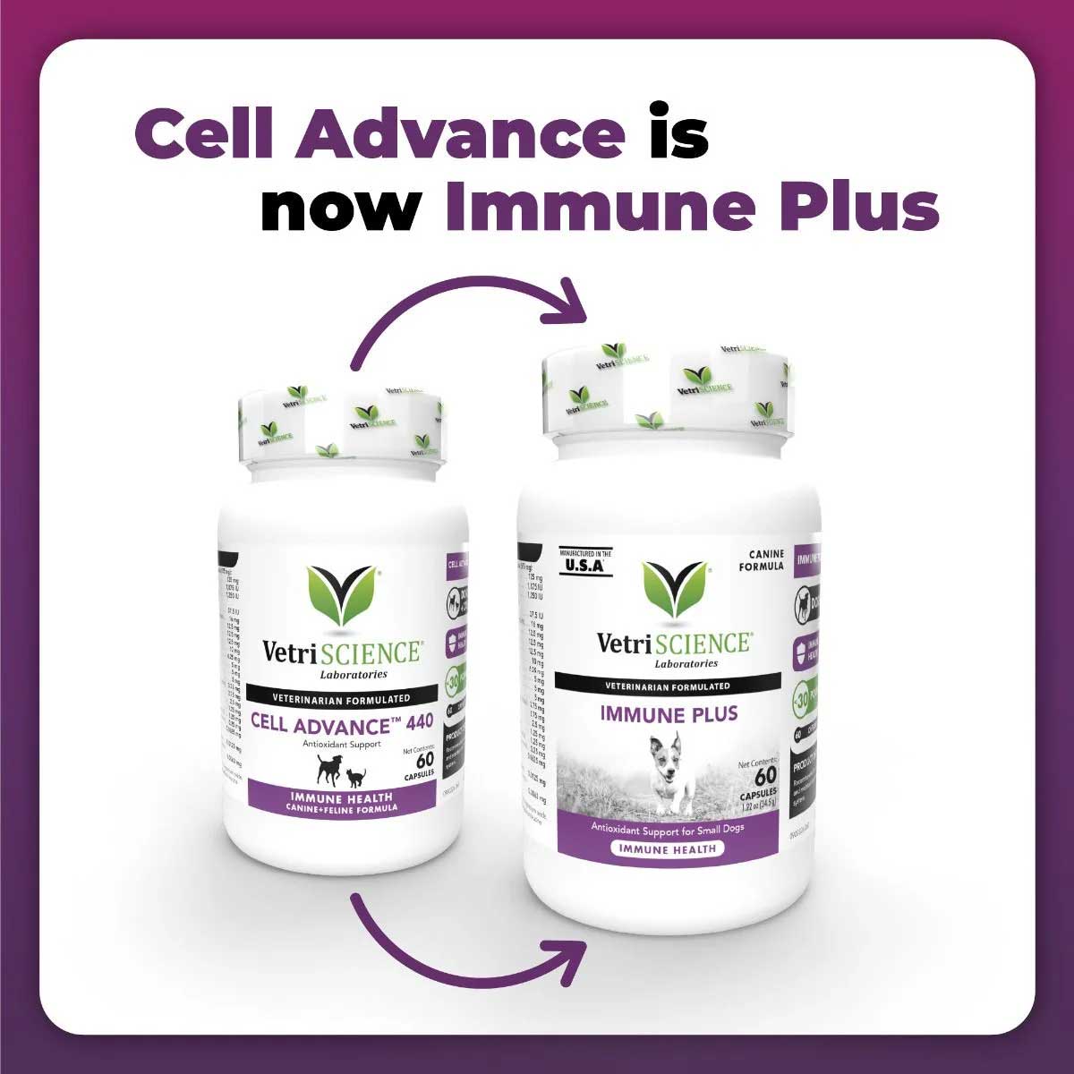 VetriScience Laboratories Immune Plus Immunity Support for Small Dogs (Formerly Cell Advance 440) New Look