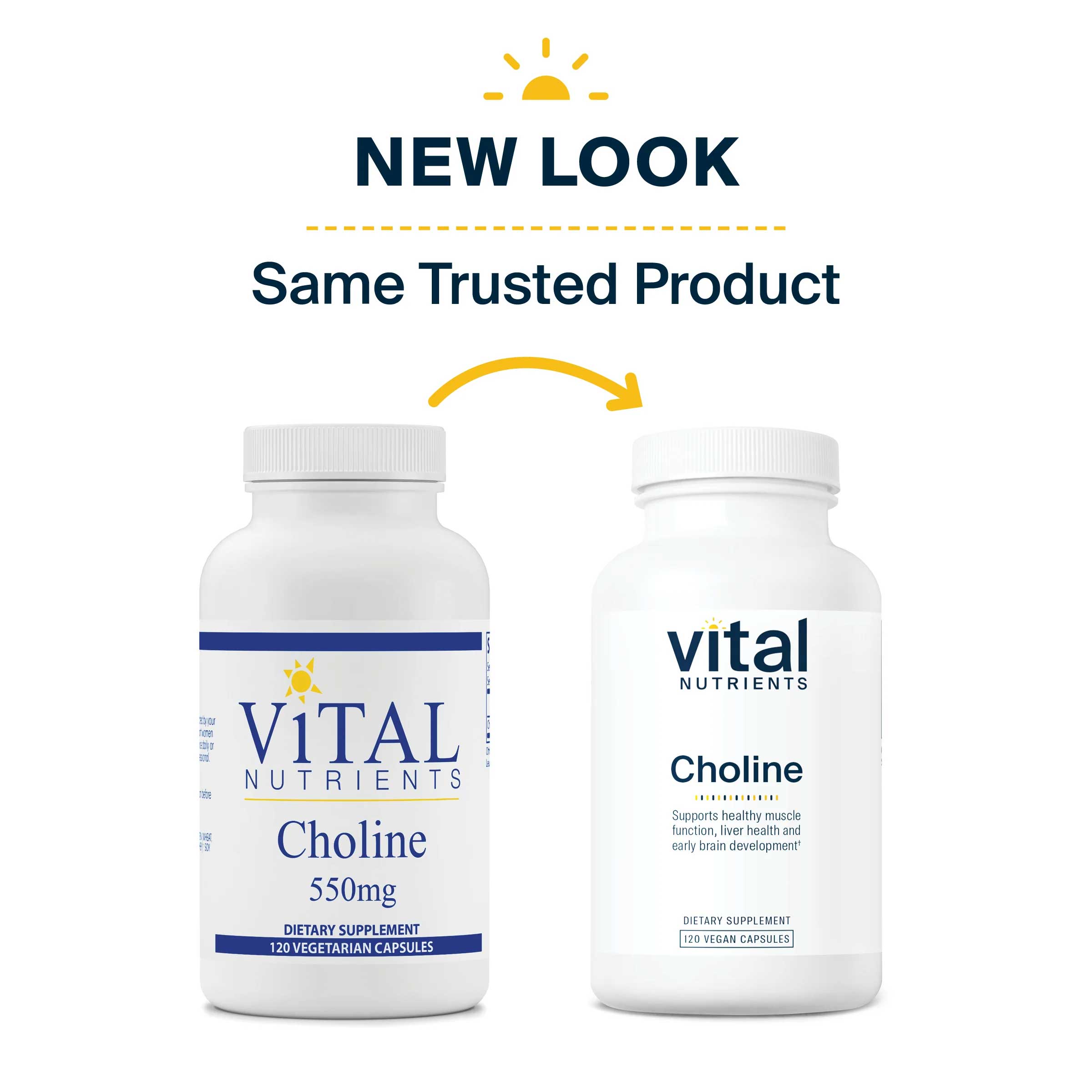 Vital Nutrients Choline 550mg New Look