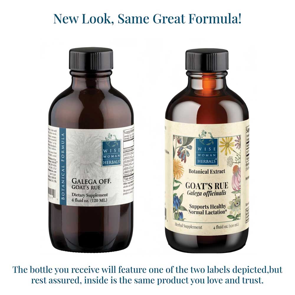 Wise Woman Herbals Goat's Rue (Galega officinalis) New Look