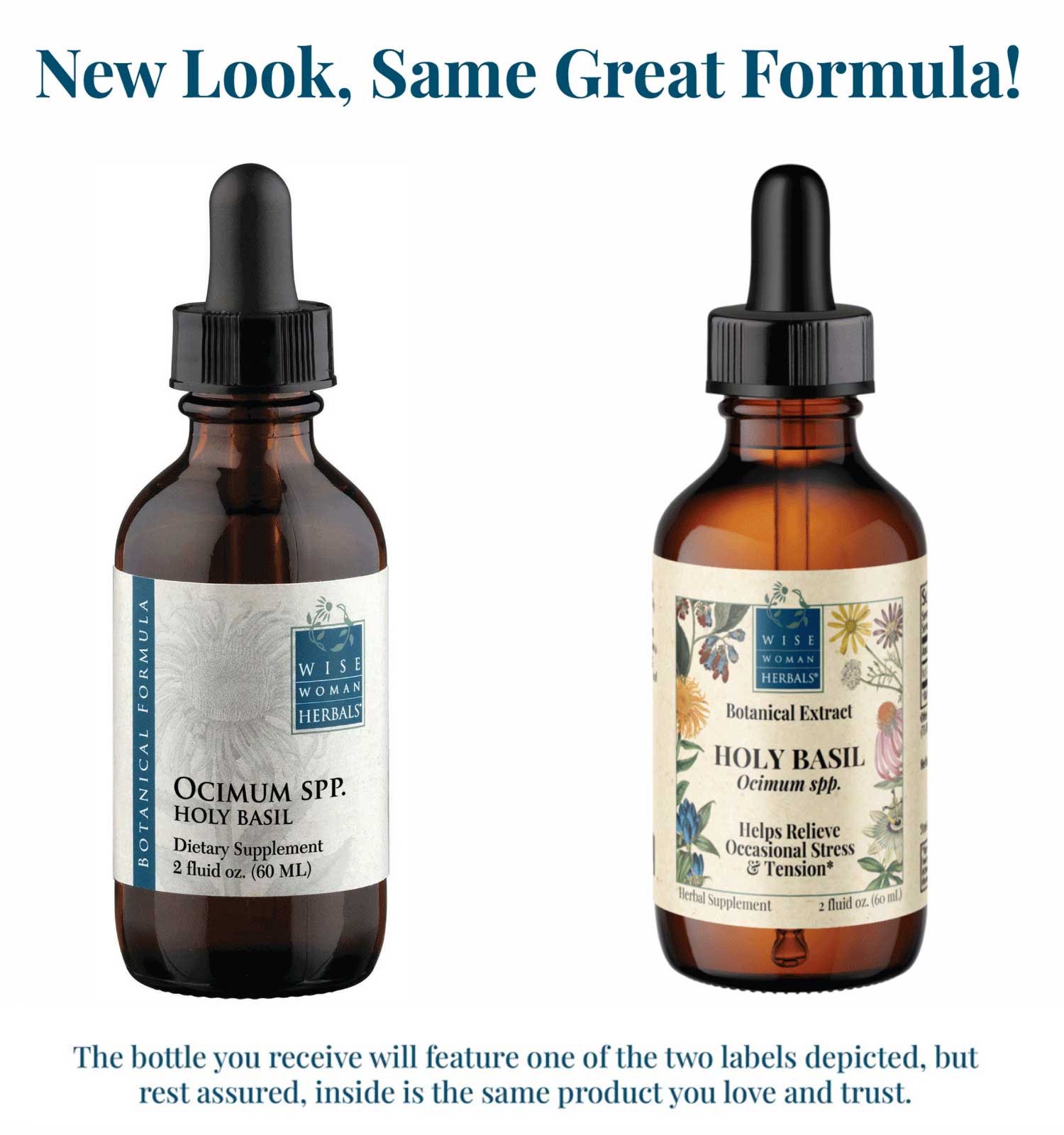 Wise Woman Herbals Holy Basil (Ocimum spp.) New Look