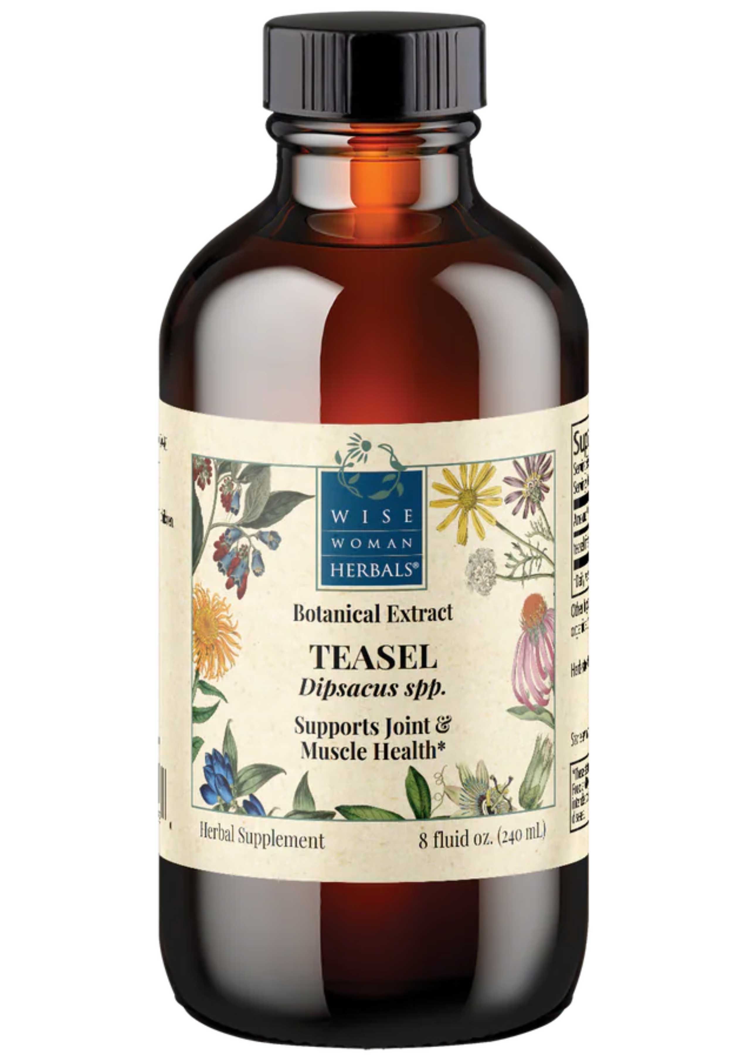 Wise Woman Herbals Teasel (Dipsacus spp.)
