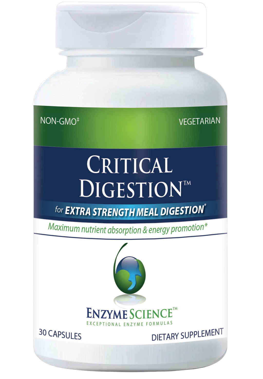 Enzyme Science Critical Digestion