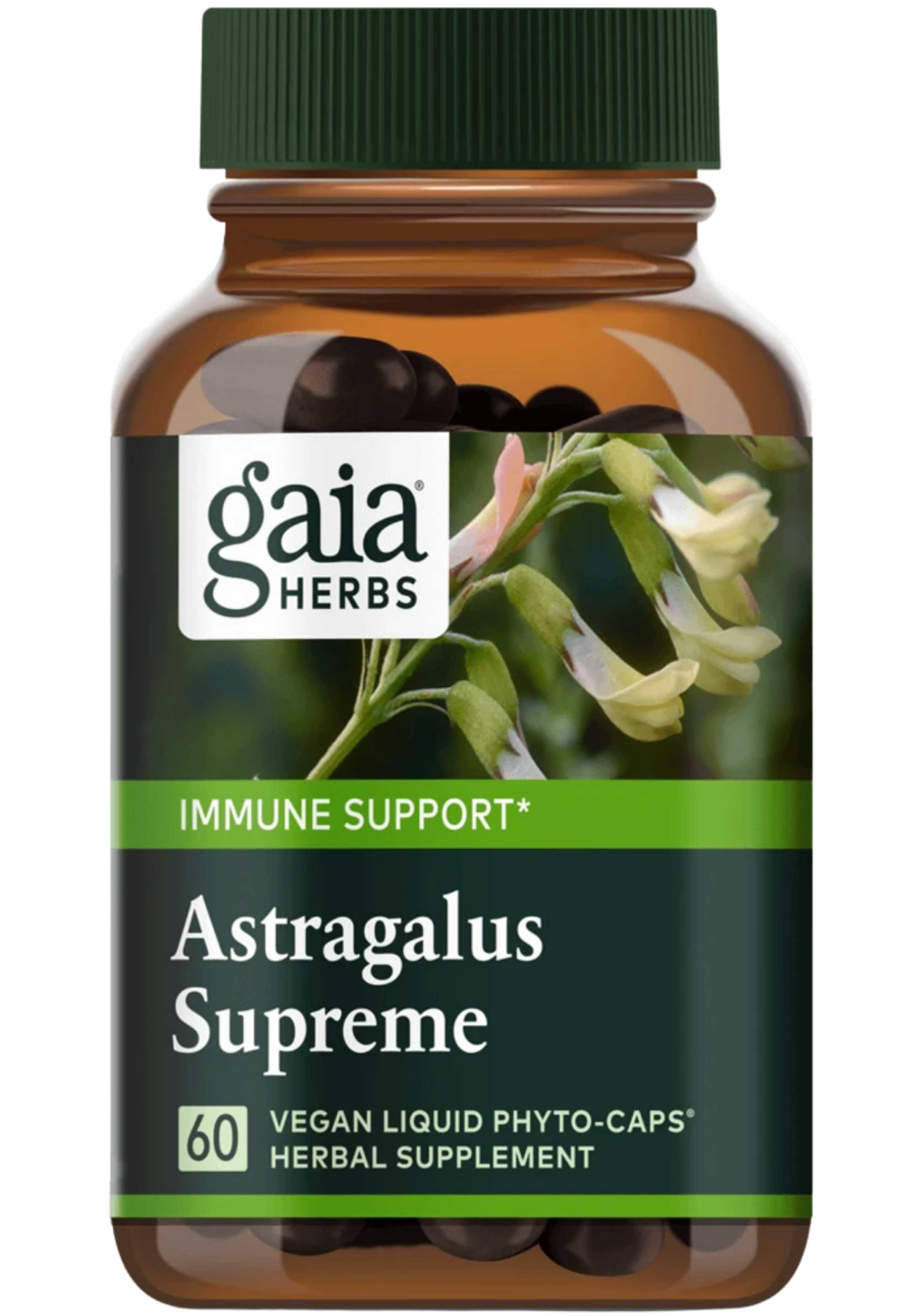 Gaia Herbs Astragalus Supreme Capsules