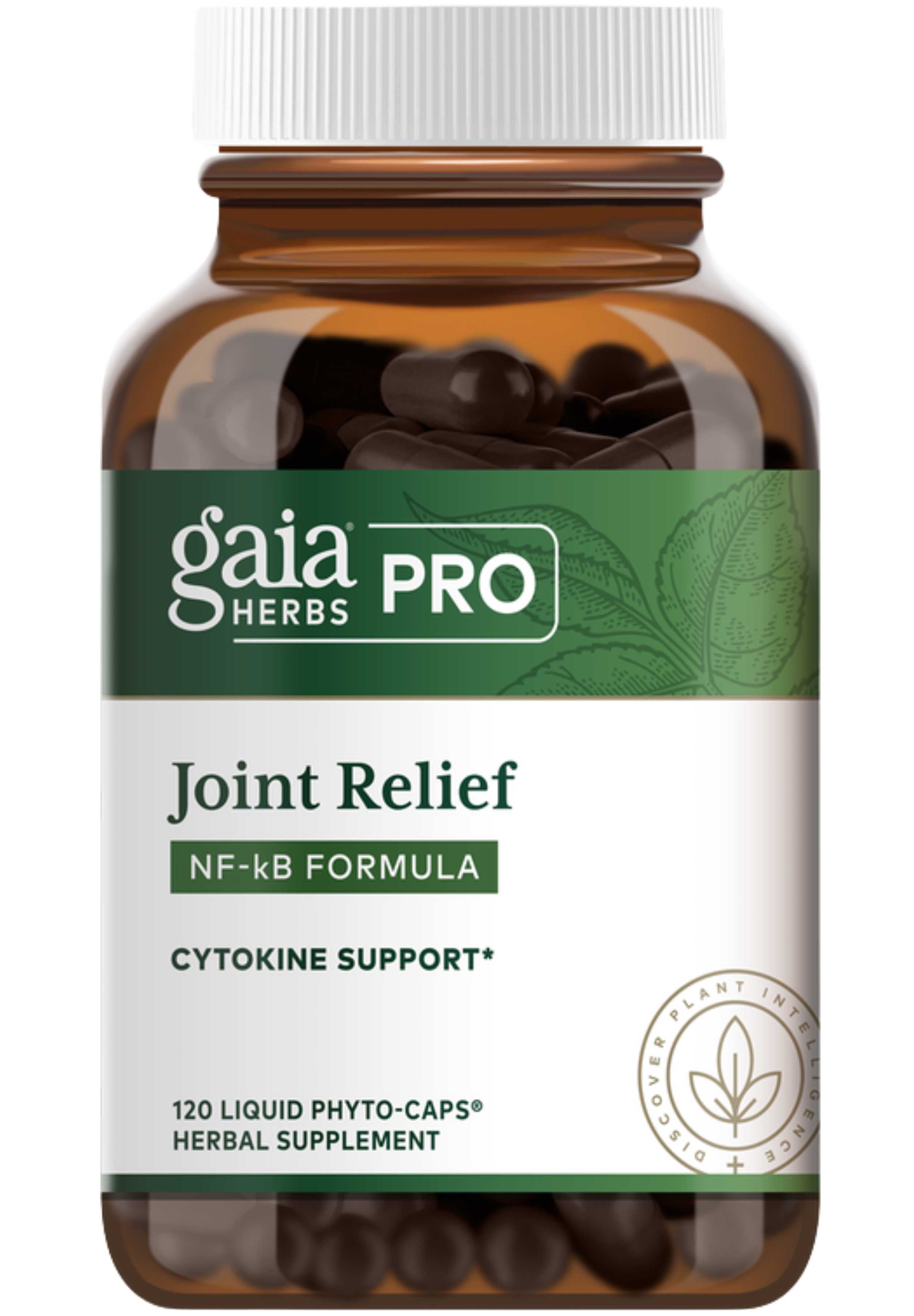 Gaia Herbs Professional Solutions Joint Relief: NF-kB Formula (Formerly Curcuma NF-kB: Musculoskeletal)