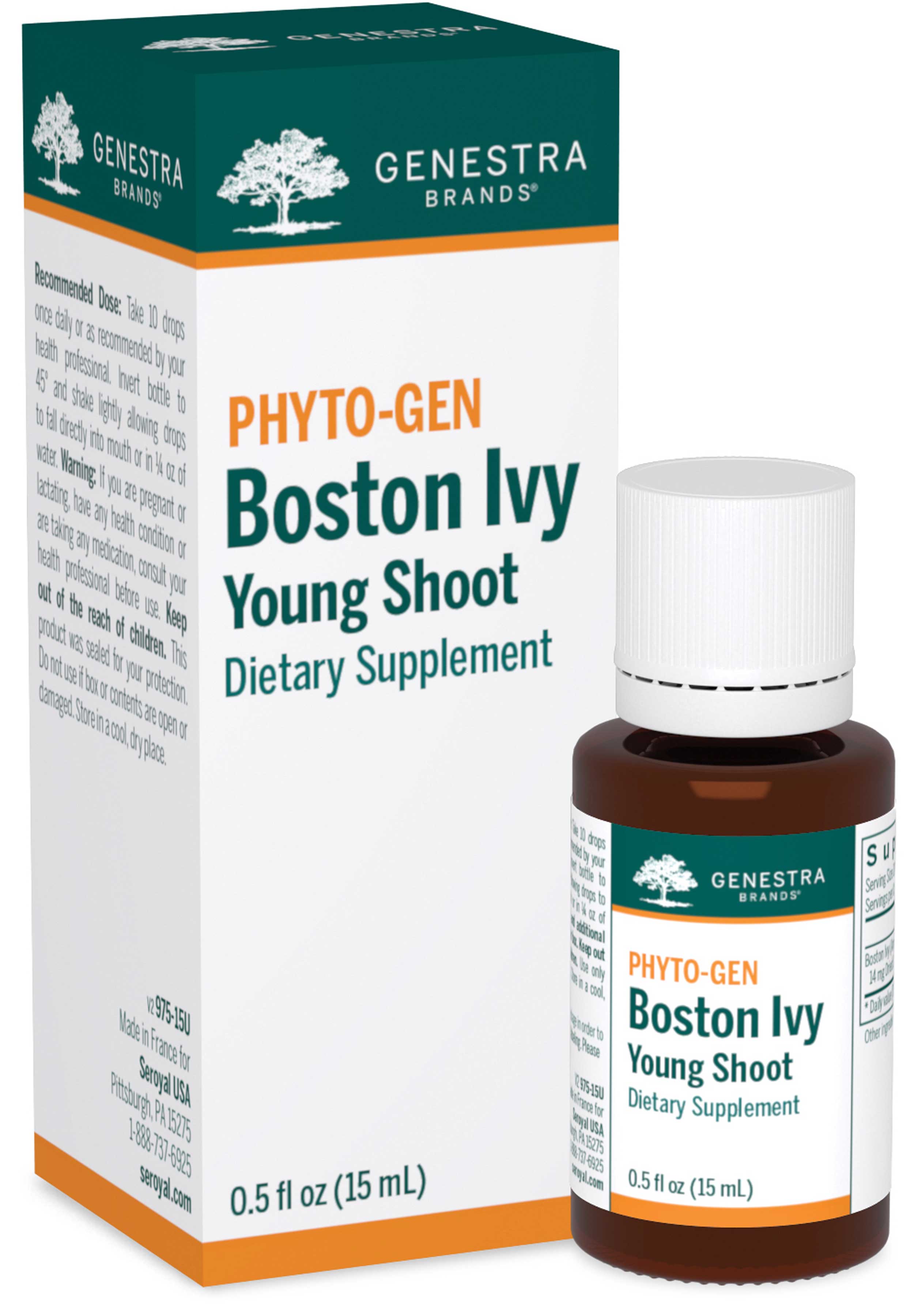 Genestra Brands Boston Ivy Young Shoot