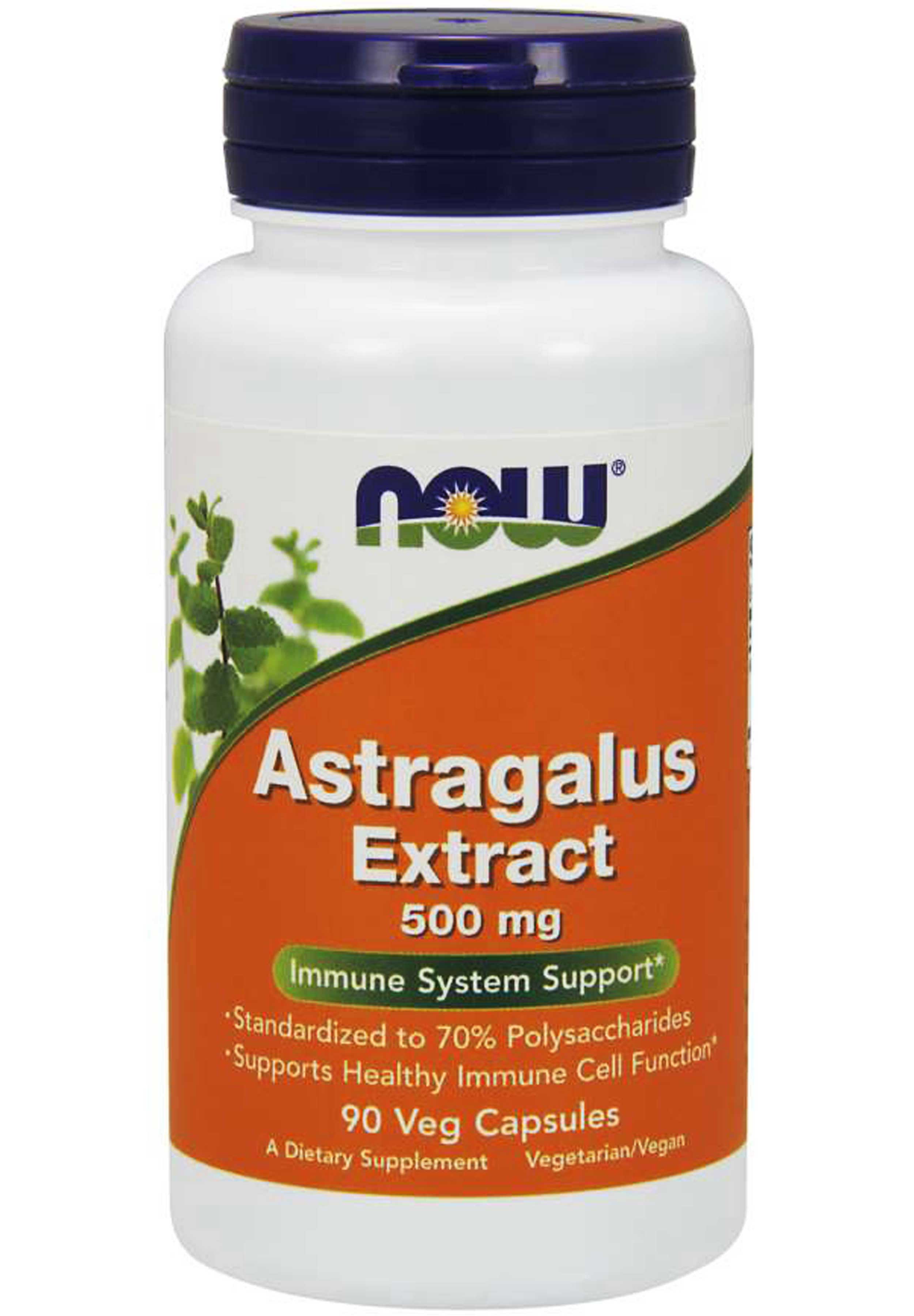 NOW Astragalus Extract 500 mg