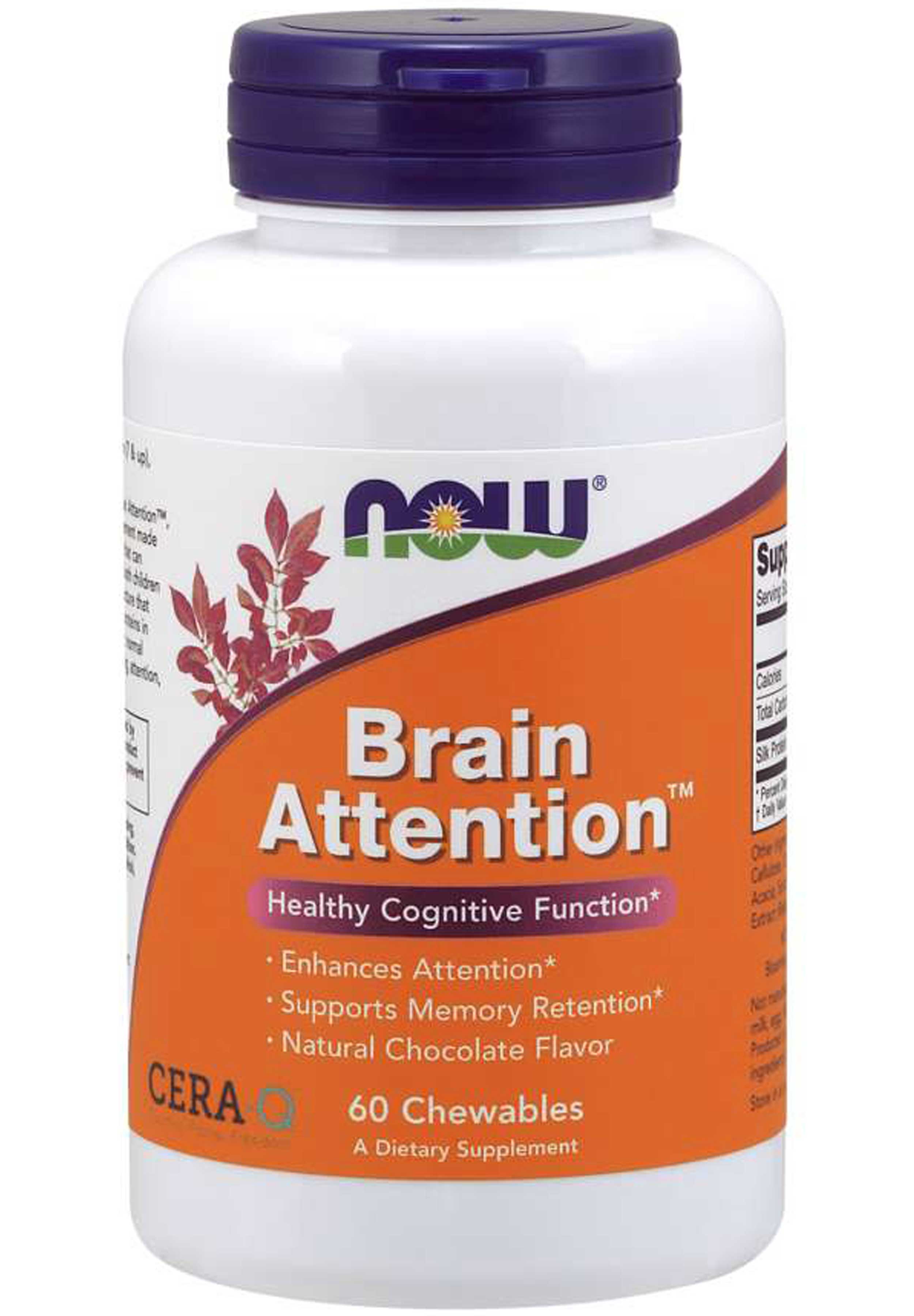 NOW Brain Attention