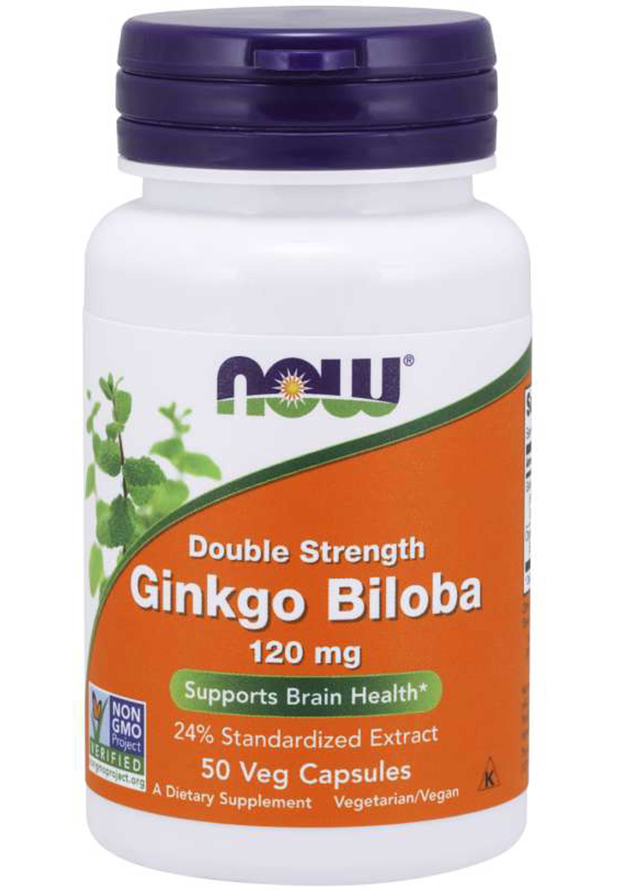 NOW Double Strength Ginkgo Biloba 120 mg