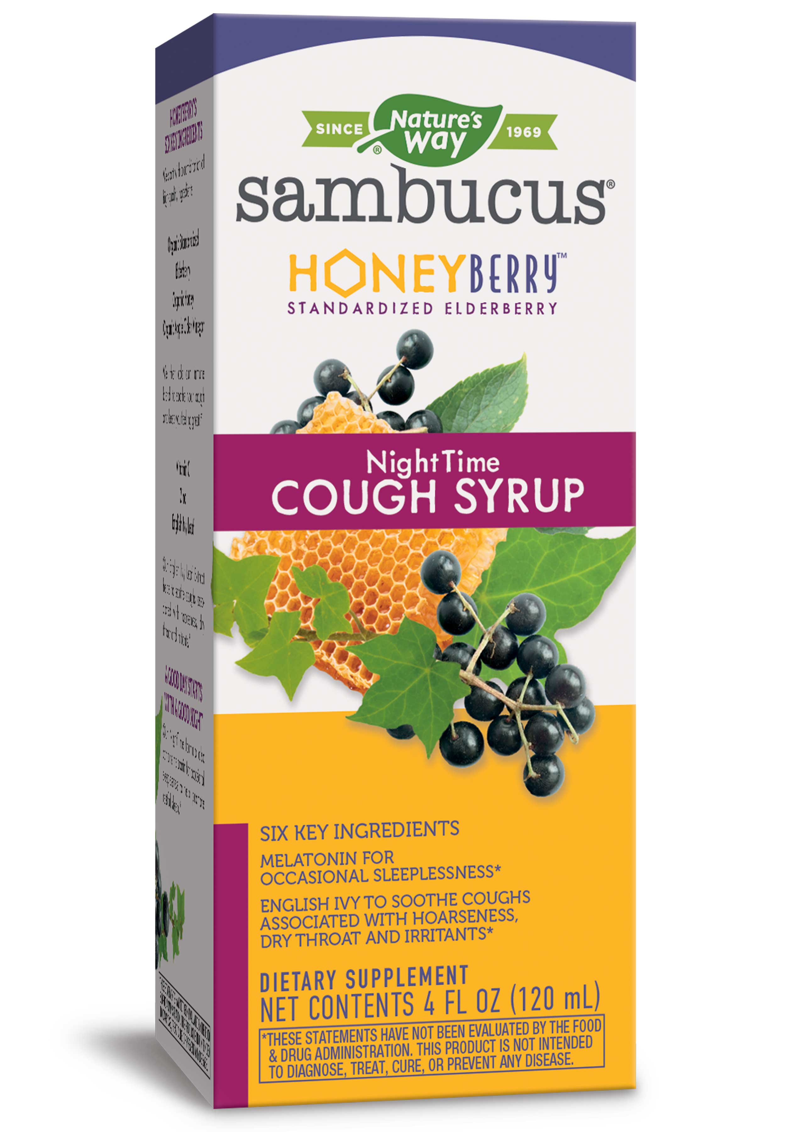 Nature's Way HoneyBerry NightTime Cough Syrup